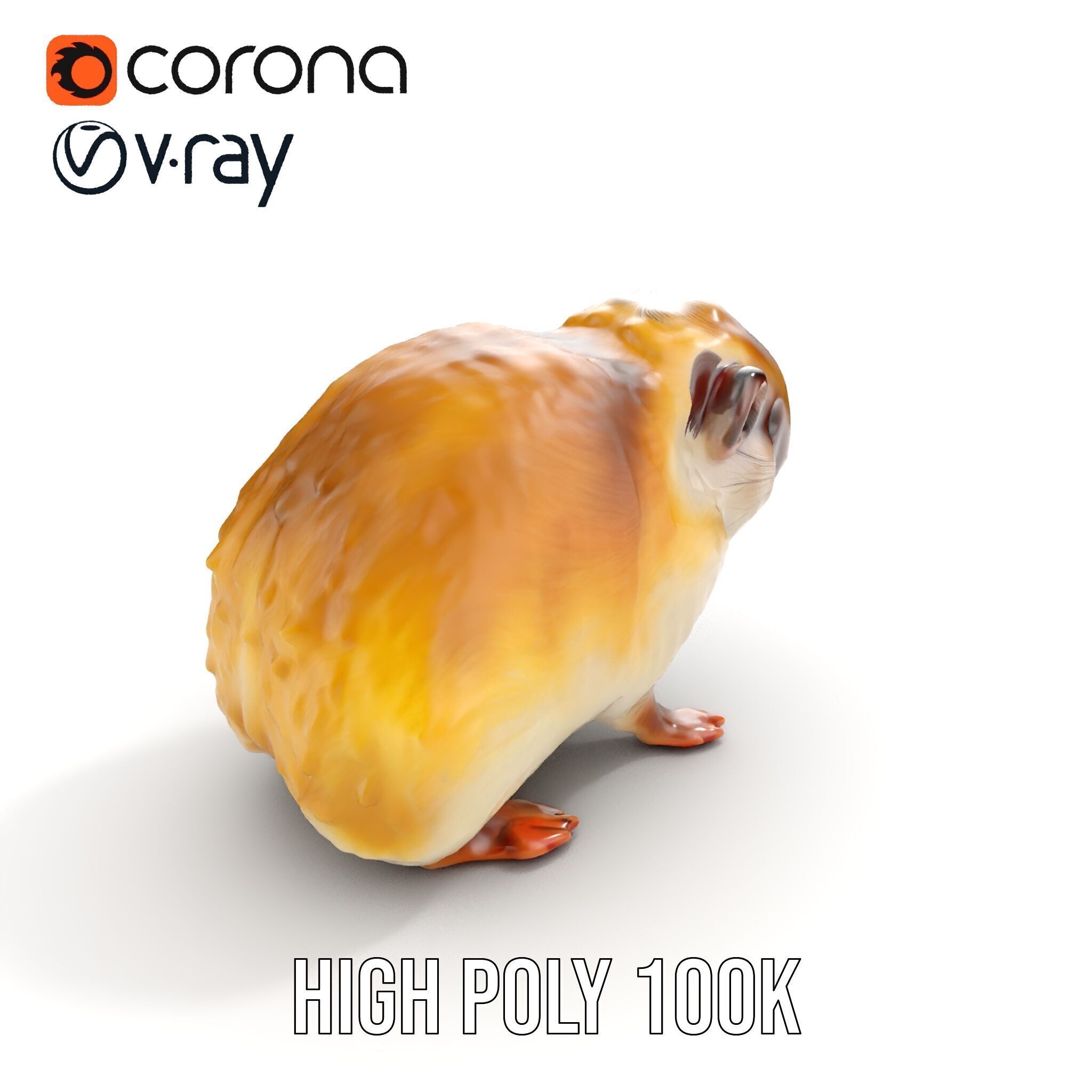 Cute Animal Model Pack for D Rendering and Game Development Low-poly 3D model_28