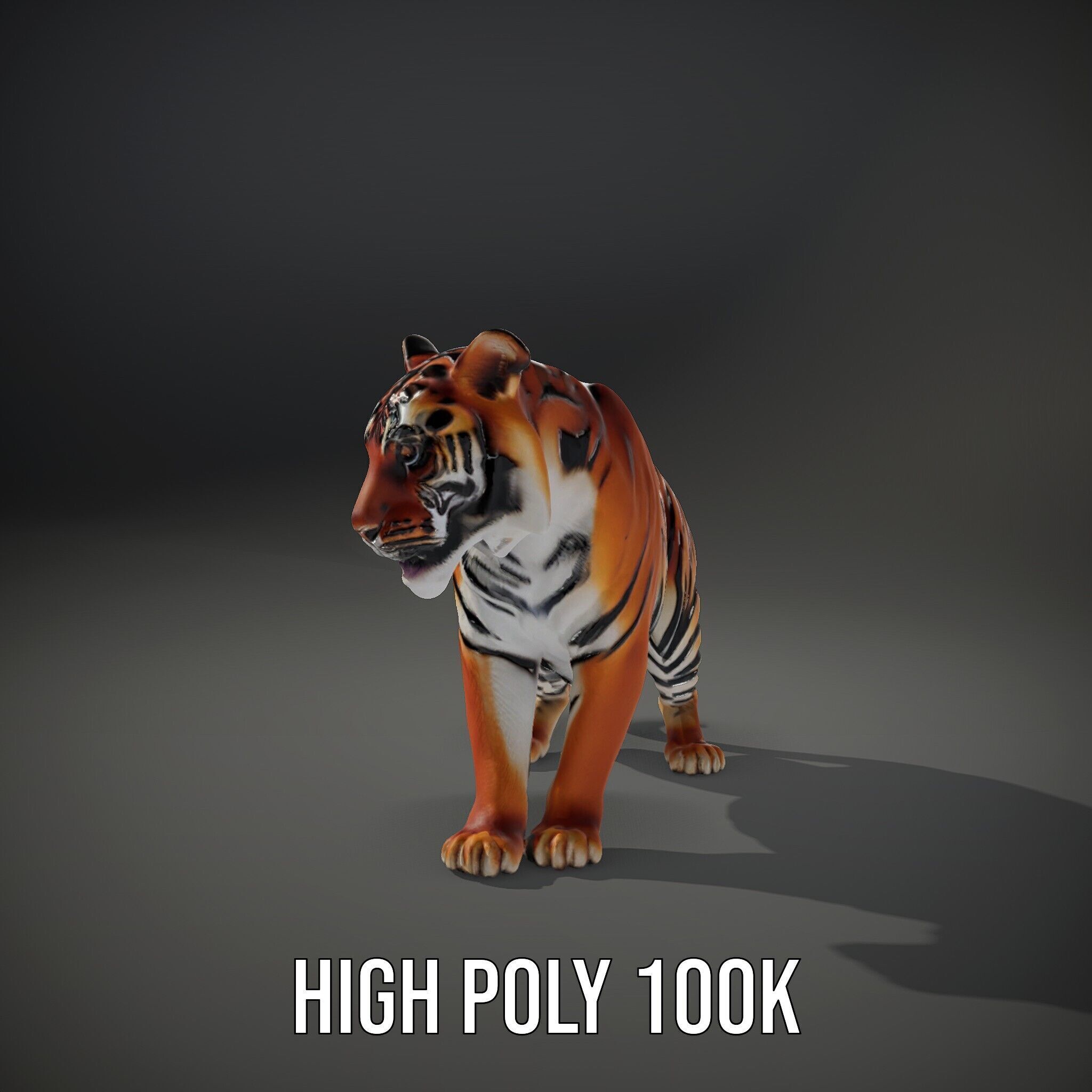 Realistic Tiger D Model Pack for Animation and Games Low-poly 3D model_9