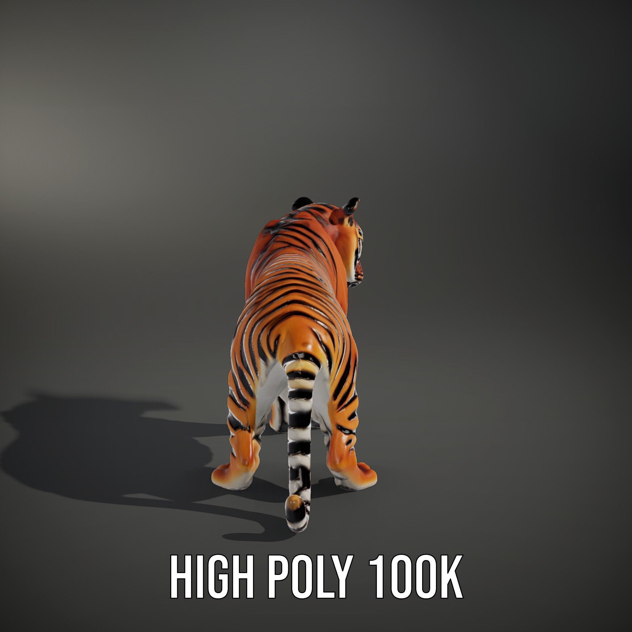 Realistic Tiger D Model Pack for Animation and Games Low-poly 3D model_12