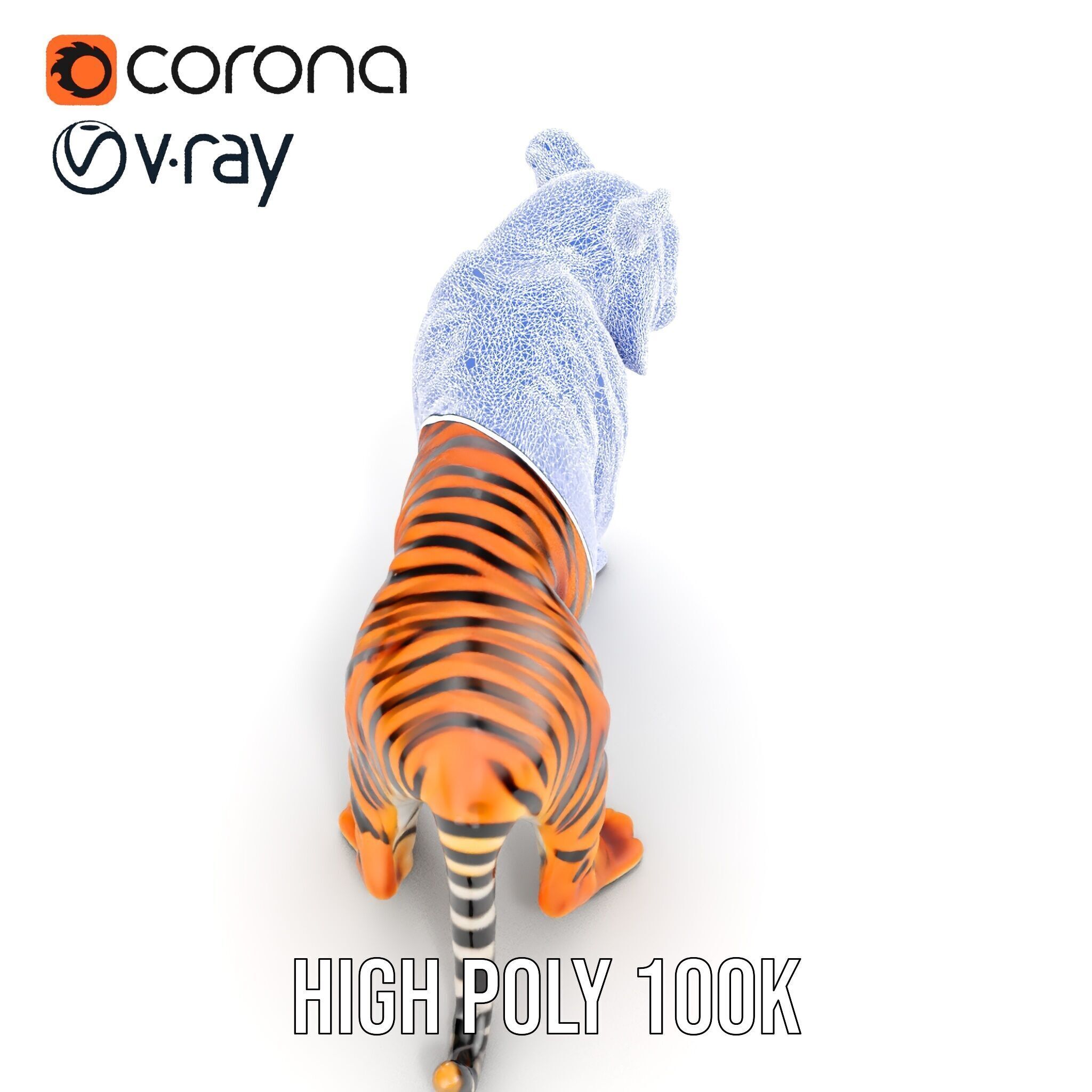 Realistic Tiger D Model Pack for Animation and Games Low-poly 3D model_26