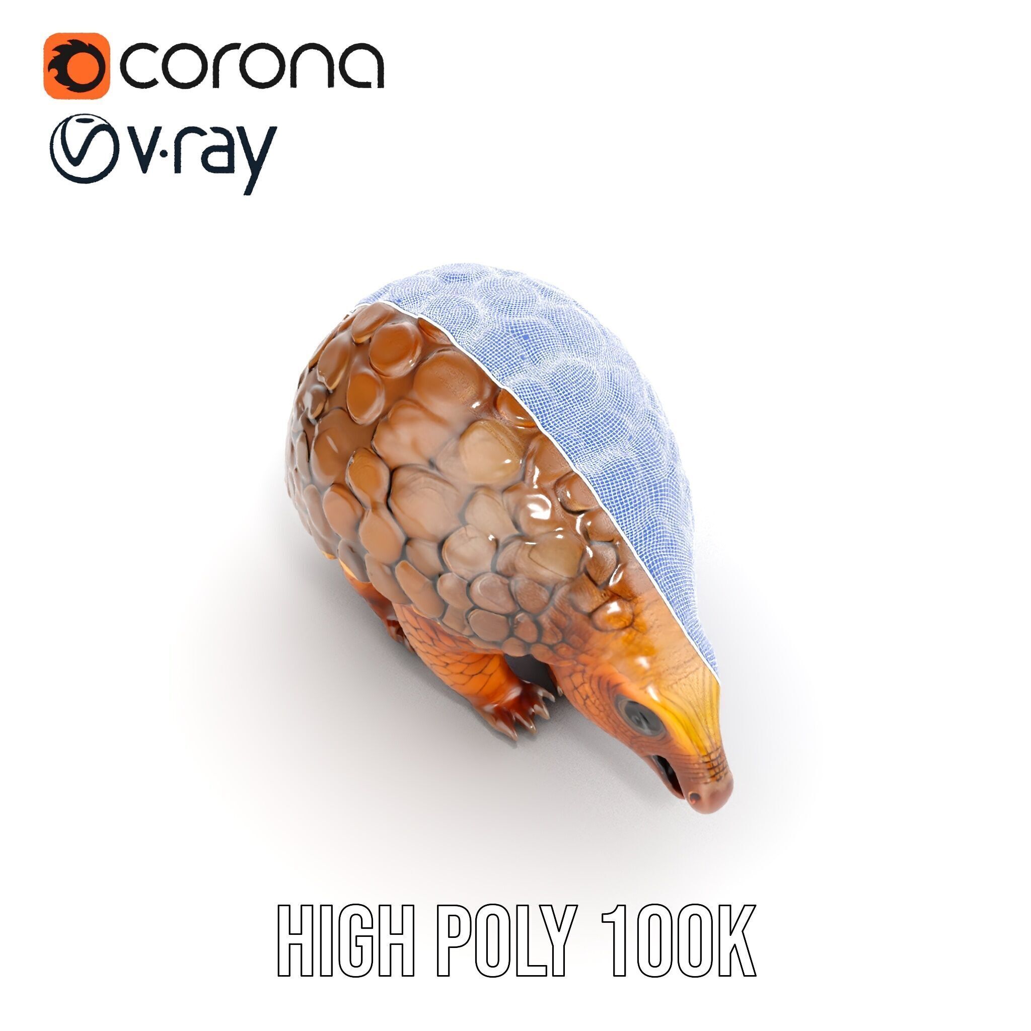 Realistic Pangolin D Model Pack for Animation and Rendering Low-poly 3D model_39