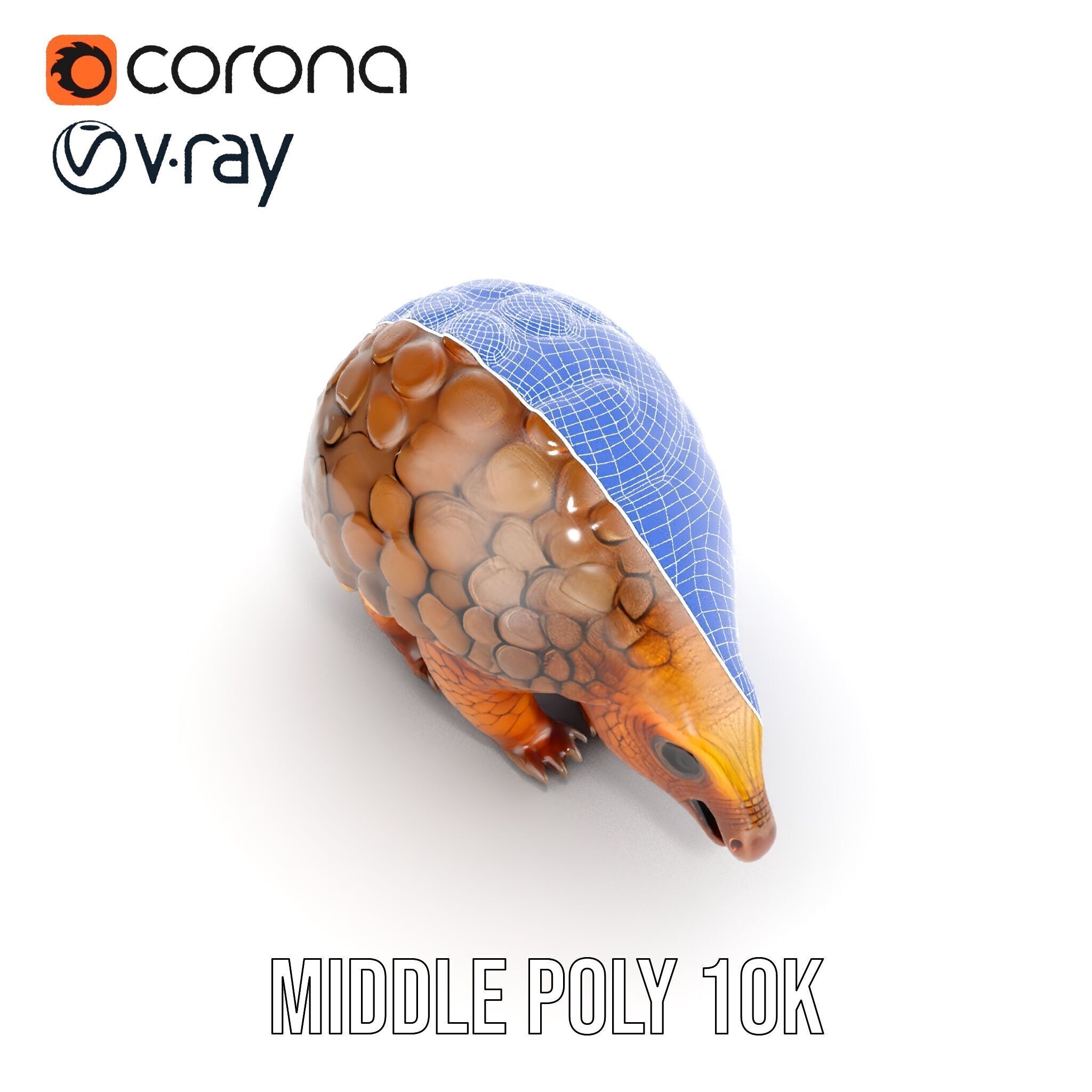 Realistic Pangolin D Model Pack for Animation and Rendering Low-poly 3D model_26