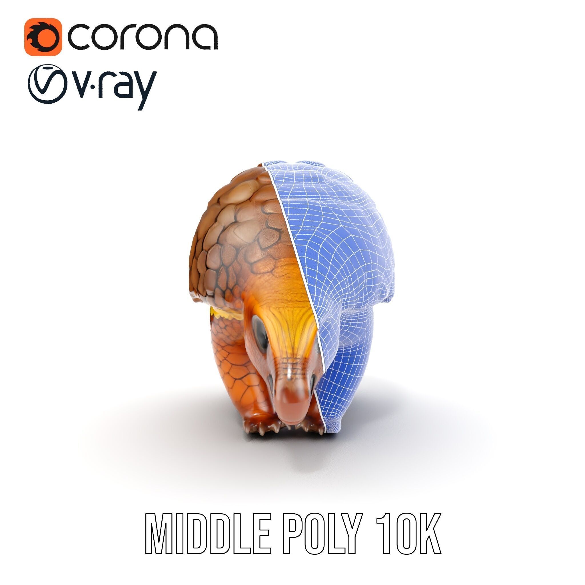 Realistic Pangolin D Model Pack for Animation and Rendering Low-poly 3D model_29