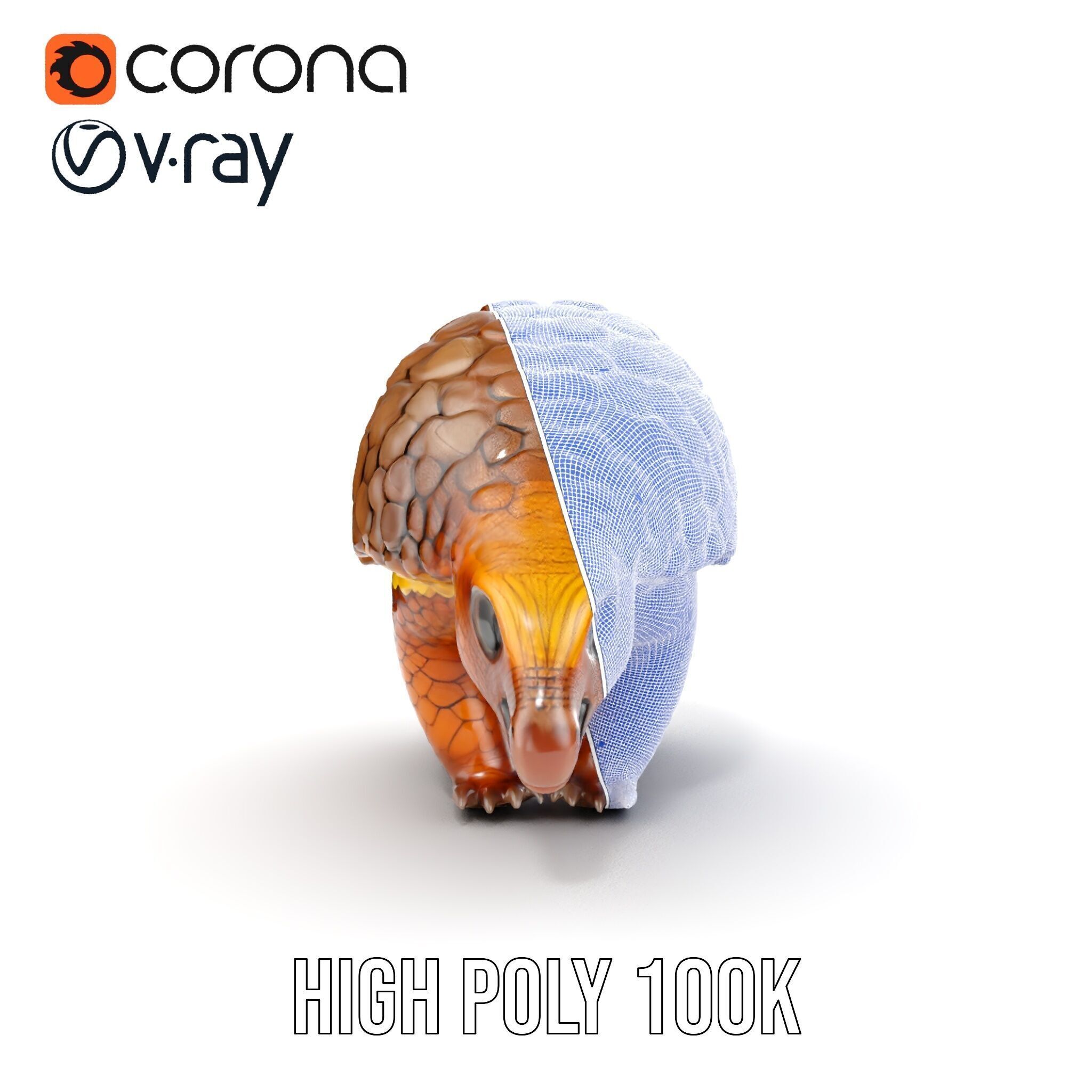 Realistic Pangolin D Model Pack for Animation and Rendering Low-poly 3D model_38