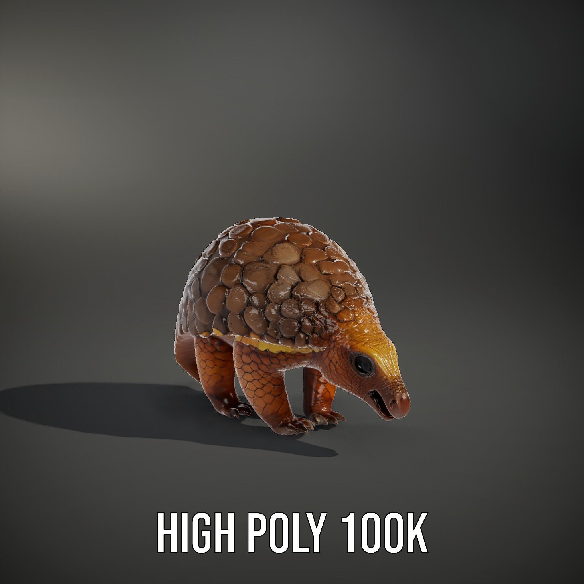 Realistic Pangolin D Model Pack for Animation and Rendering Low-poly 3D model_12