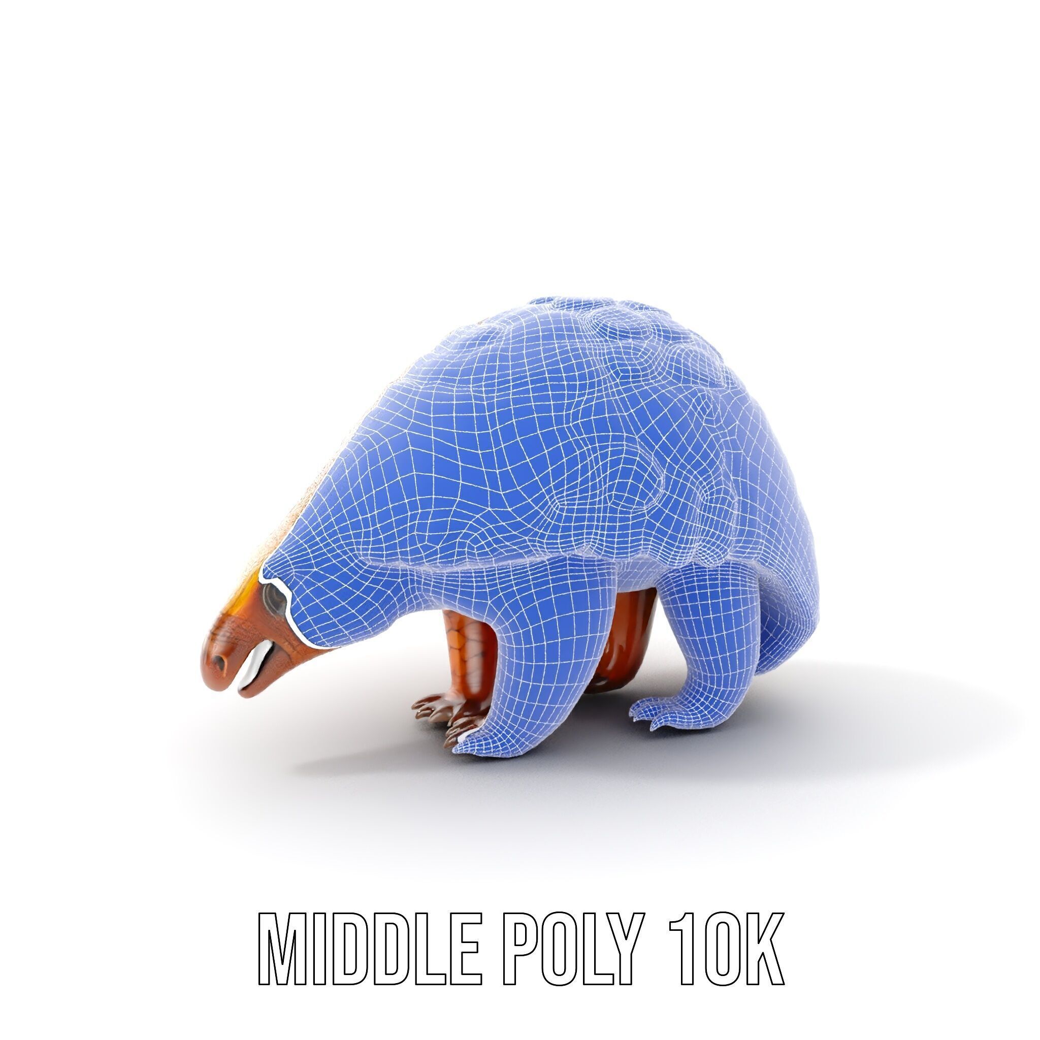 Realistic Pangolin D Model Pack for Animation and Rendering Low-poly 3D model_23