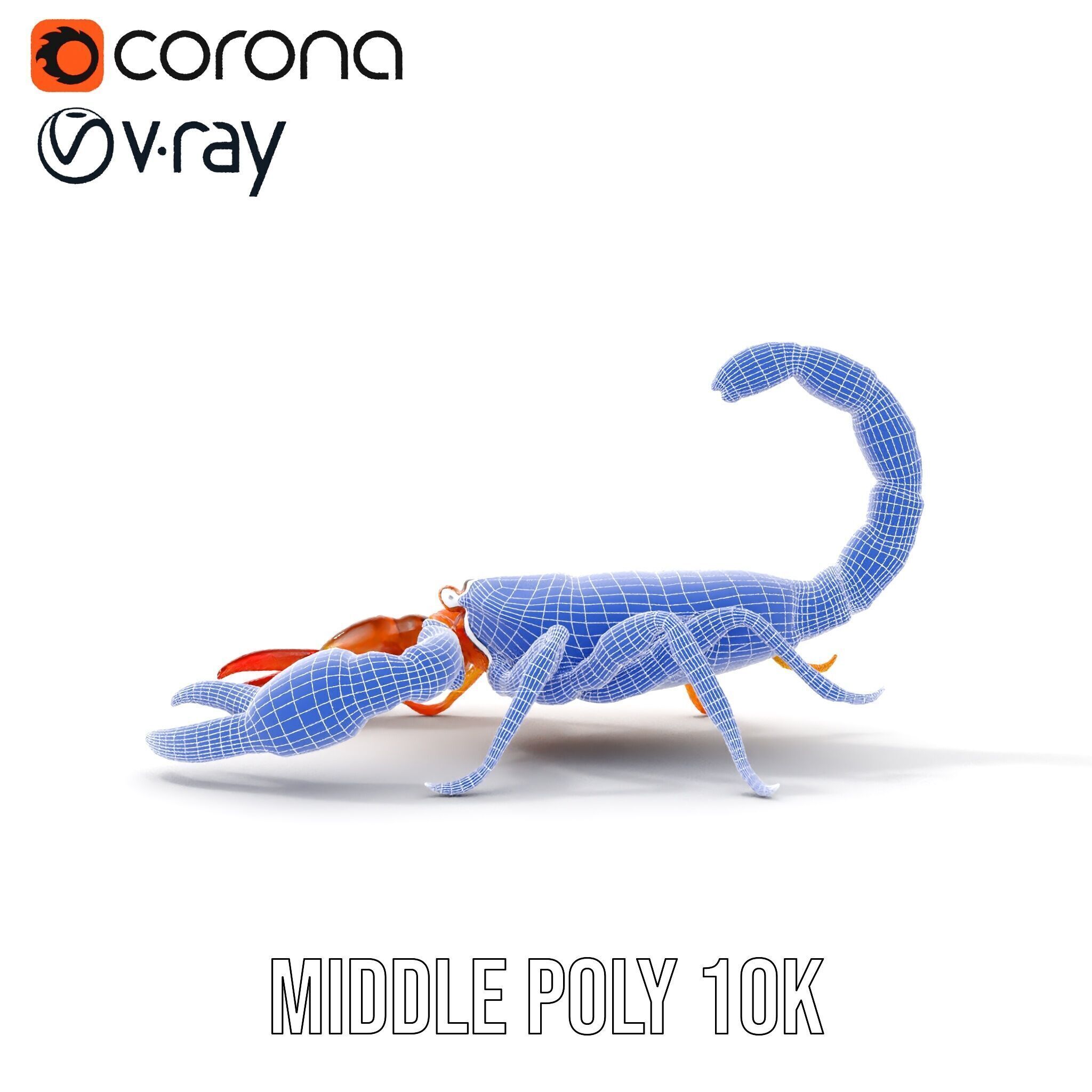 Scorpion Model Pack for Animation and Games Low-poly 3D model_28