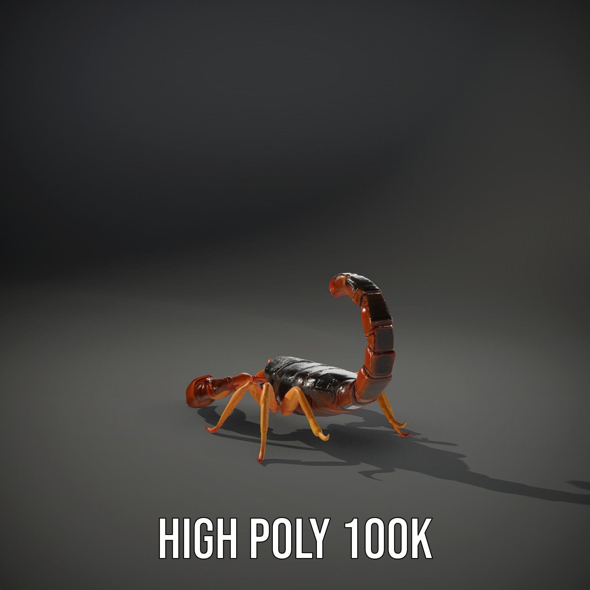 Scorpion Model Pack for Animation and Games Low-poly 3D model_11