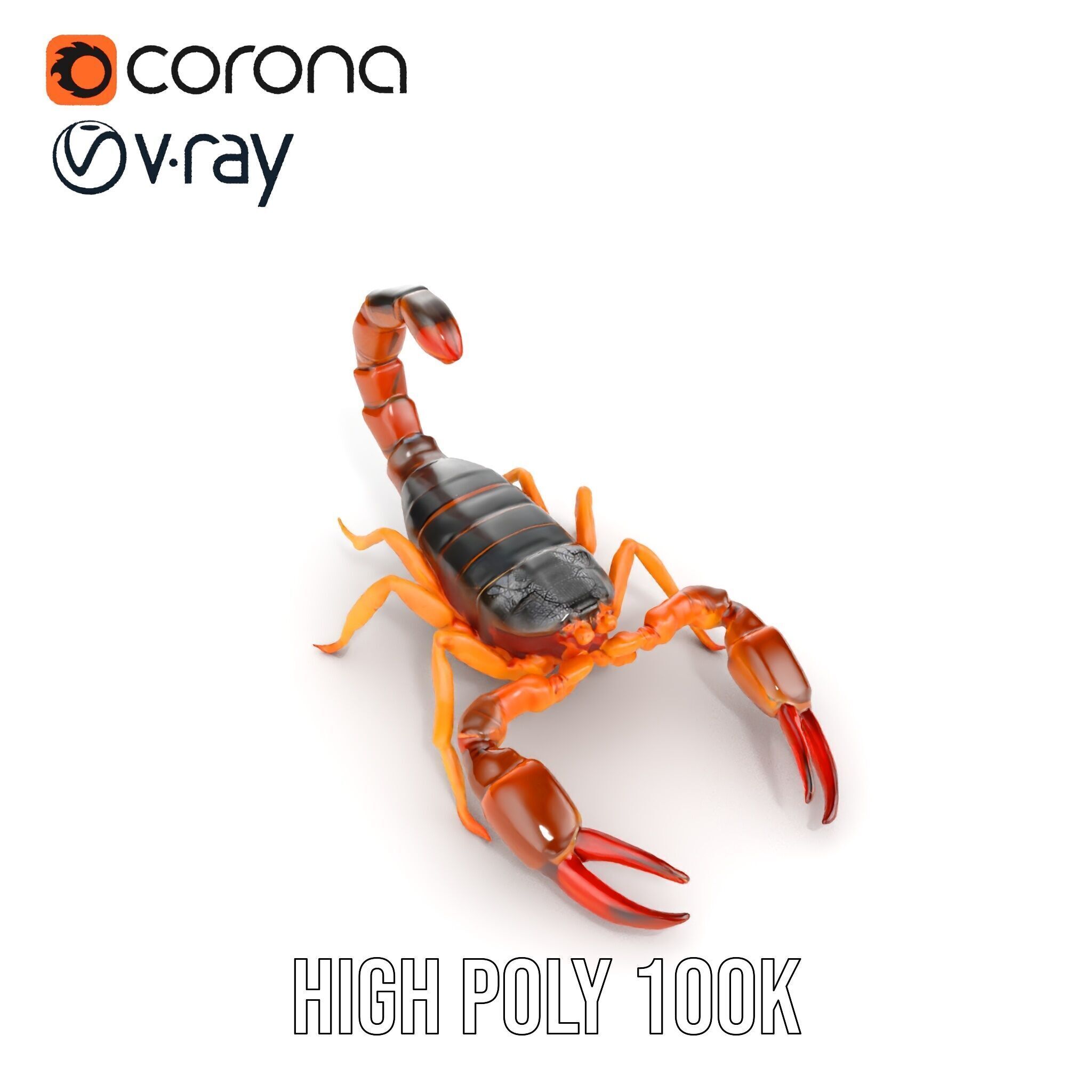 Scorpion Model Pack for Animation and Games Low-poly 3D model_19