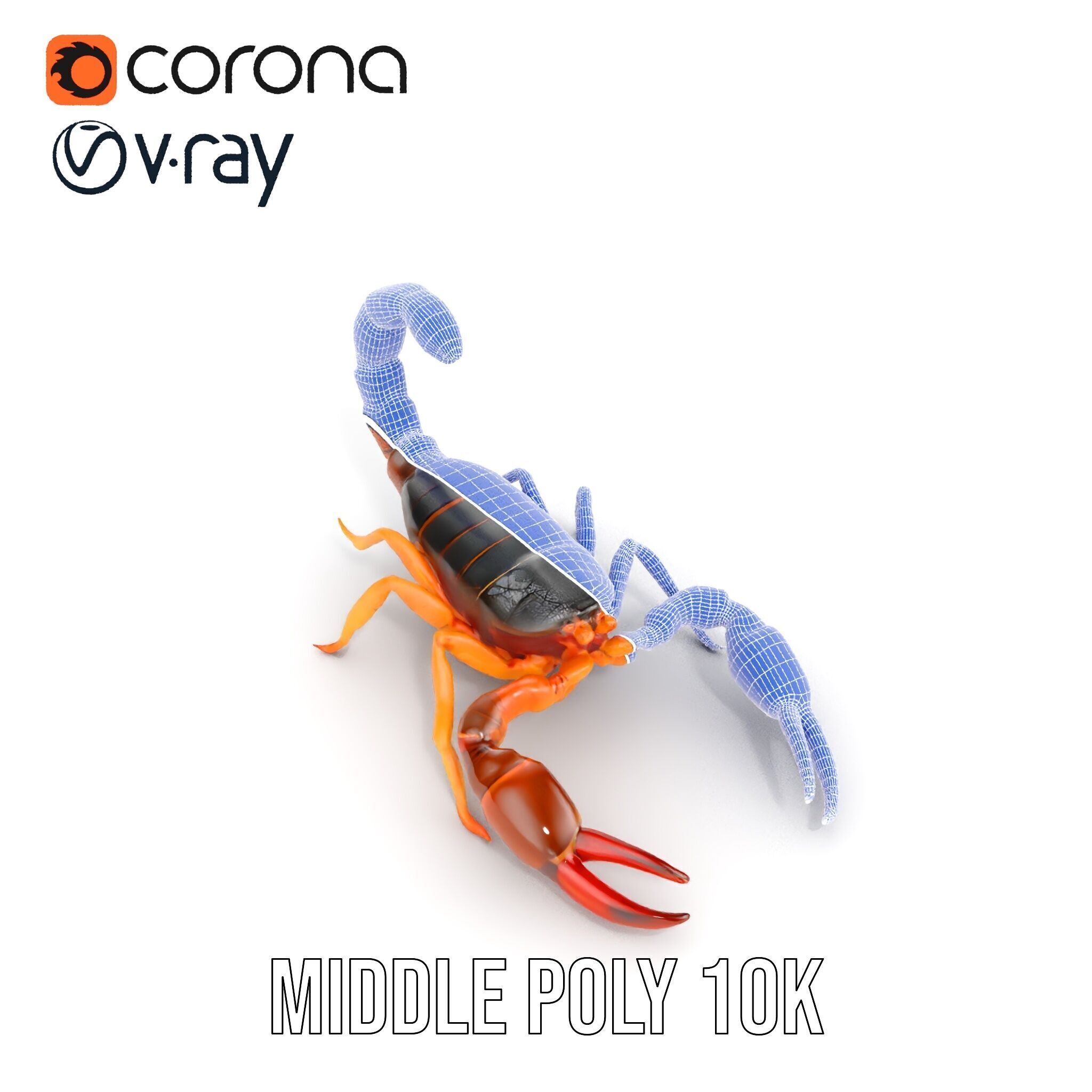 Scorpion Model Pack for Animation and Games Low-poly 3D model_25