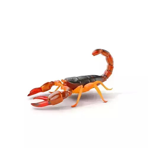 Scorpion Model Pack for Animation and Games Low-poly 3D model
