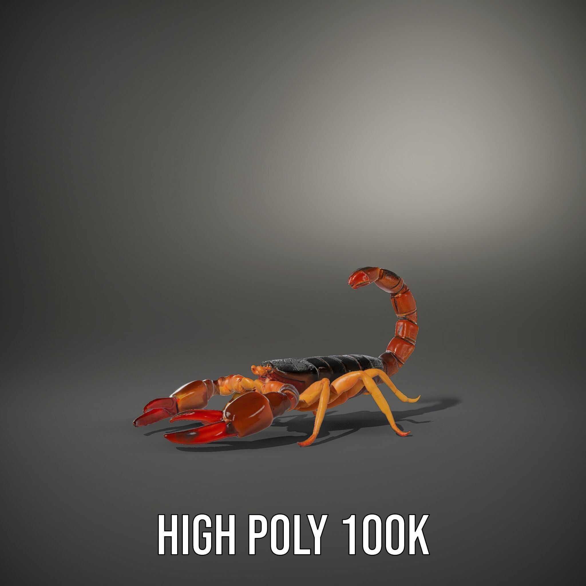 Scorpion Model Pack for Animation and Games Low-poly 3D model_14
