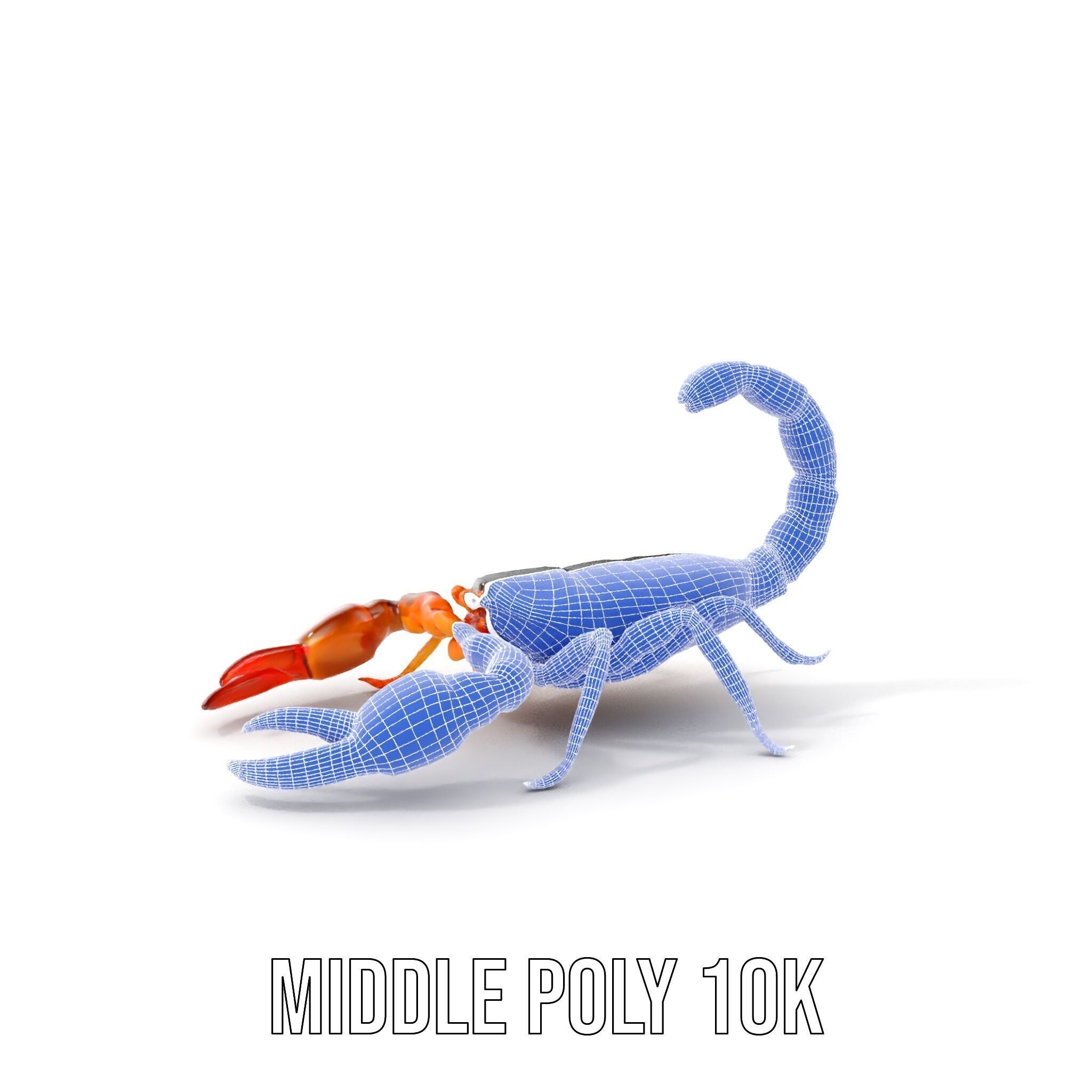 Scorpion Model Pack for Animation and Games Low-poly 3D model_20