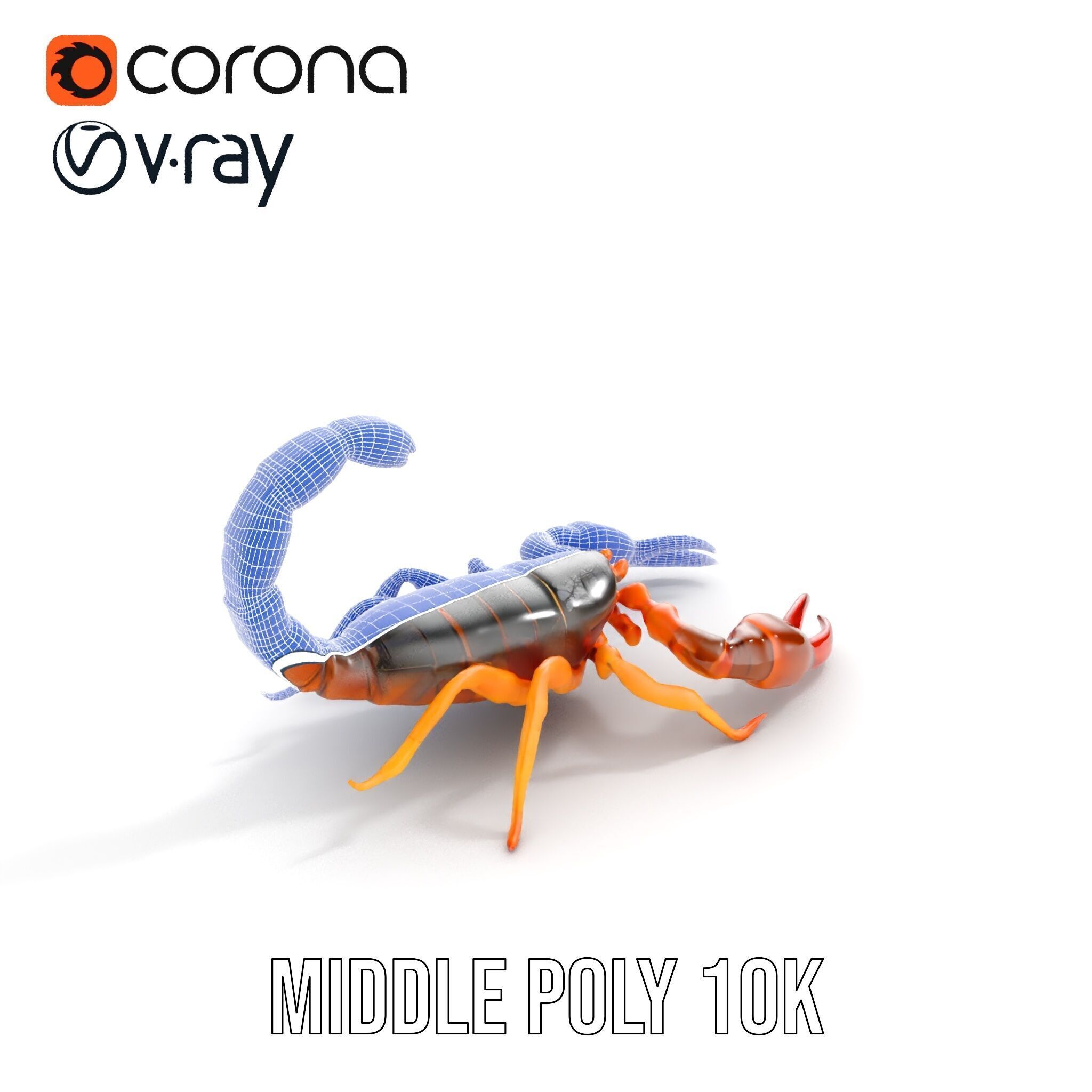Scorpion Model Pack for Animation and Games Low-poly 3D model_31