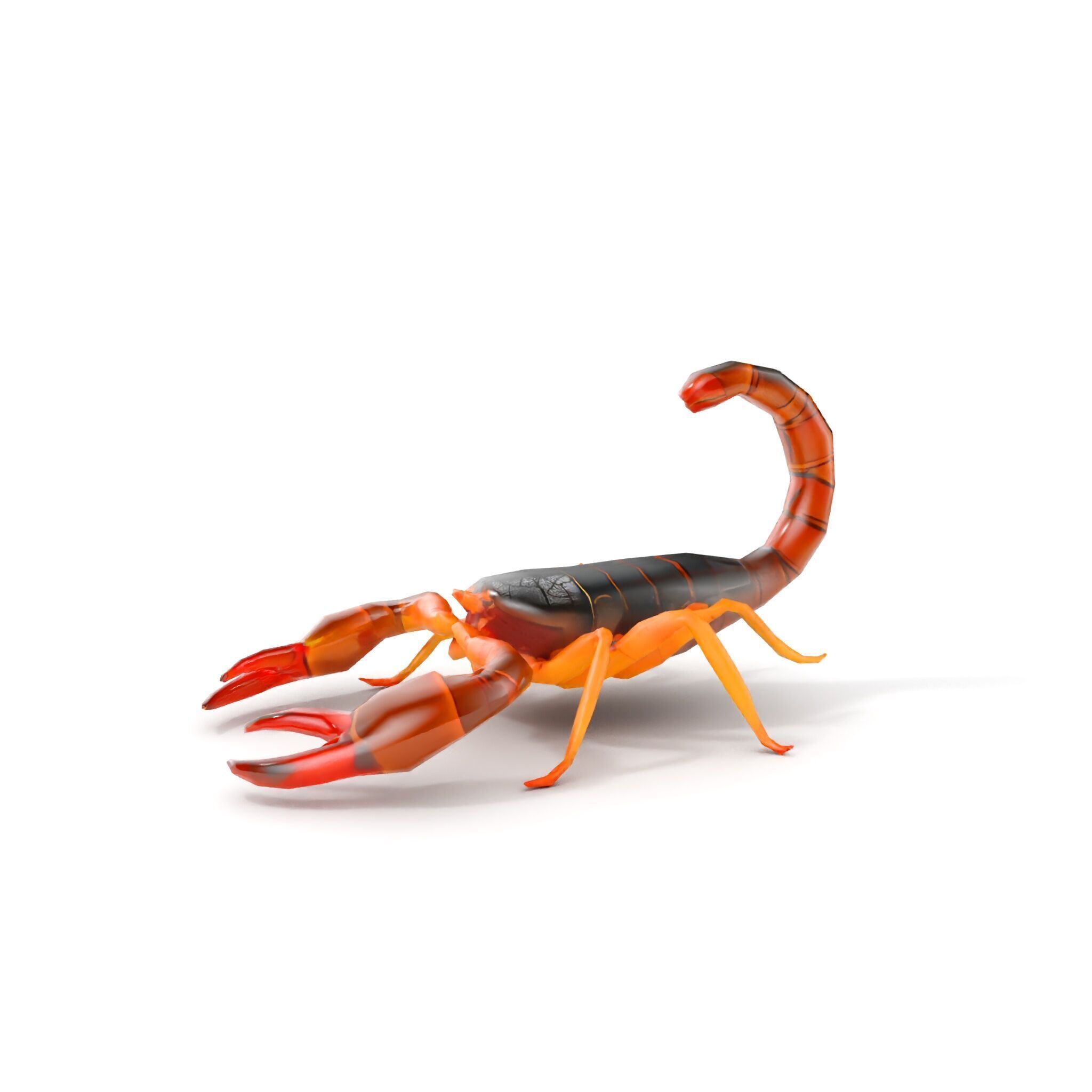 Scorpion Model Pack for Animation and Games Low-poly 3D model_7