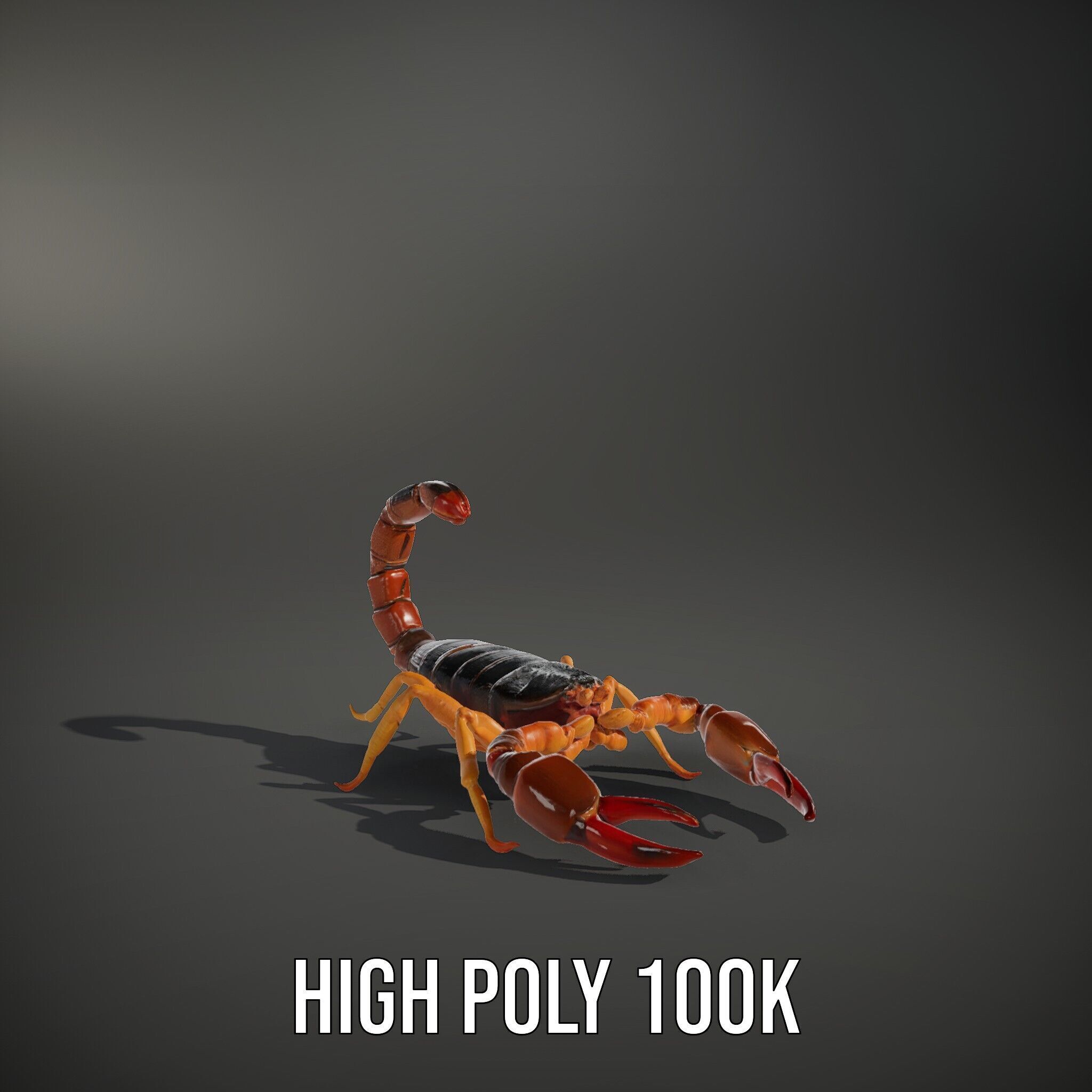 Scorpion Model Pack for Animation and Games Low-poly 3D model_8