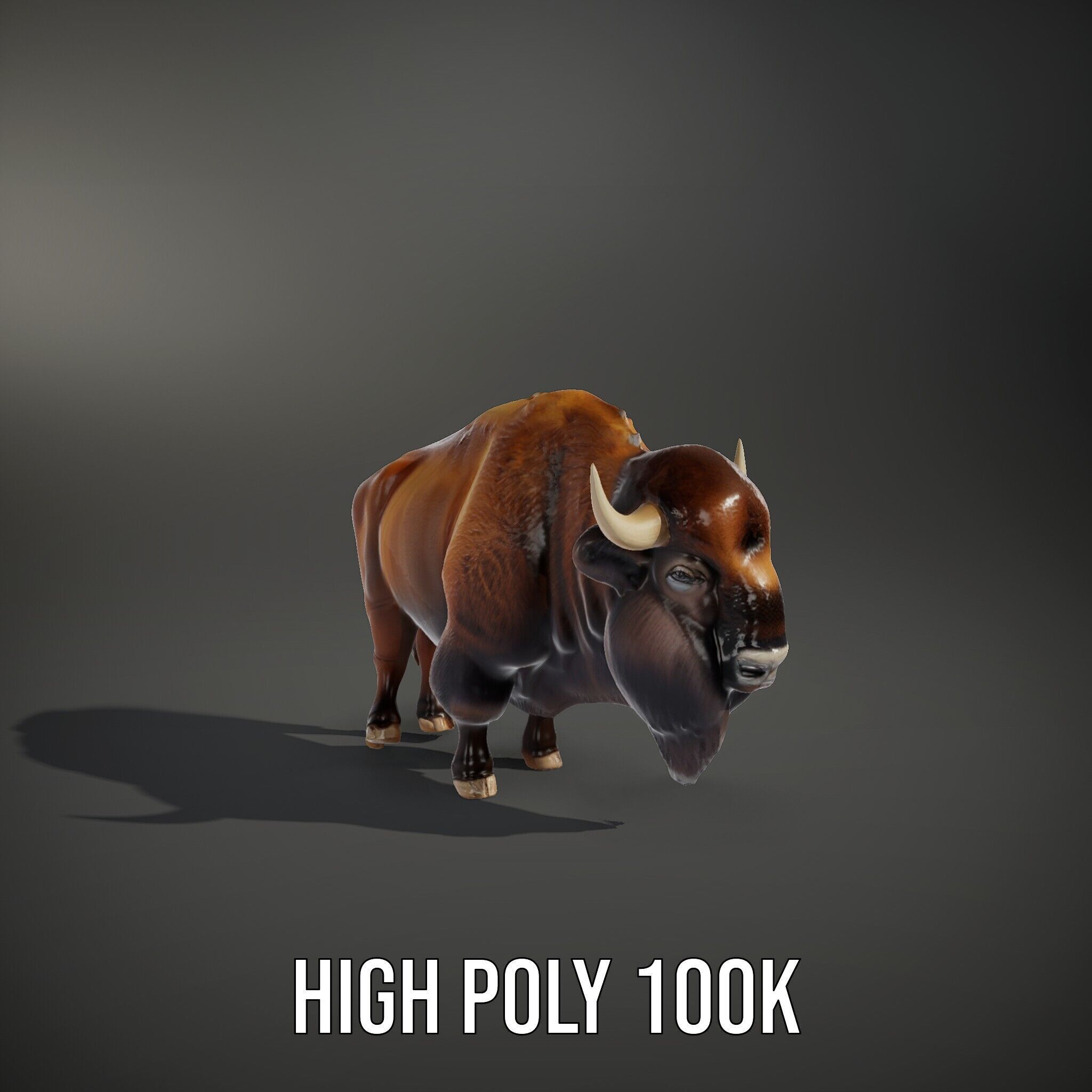 Majestic Bison D Model Pack for Wildlife Simulations Low-poly 3D model_9