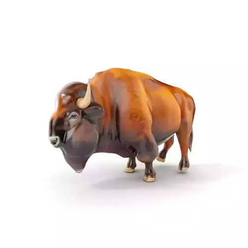 Majestic Bison D Model Pack for Wildlife Simulations Low-poly 3D model