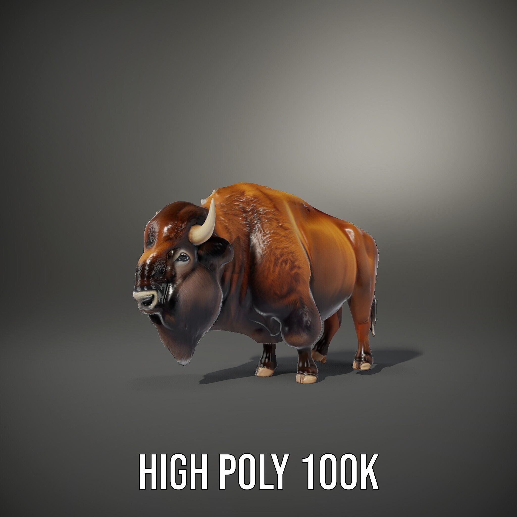 Majestic Bison D Model Pack for Wildlife Simulations Low-poly 3D model_12