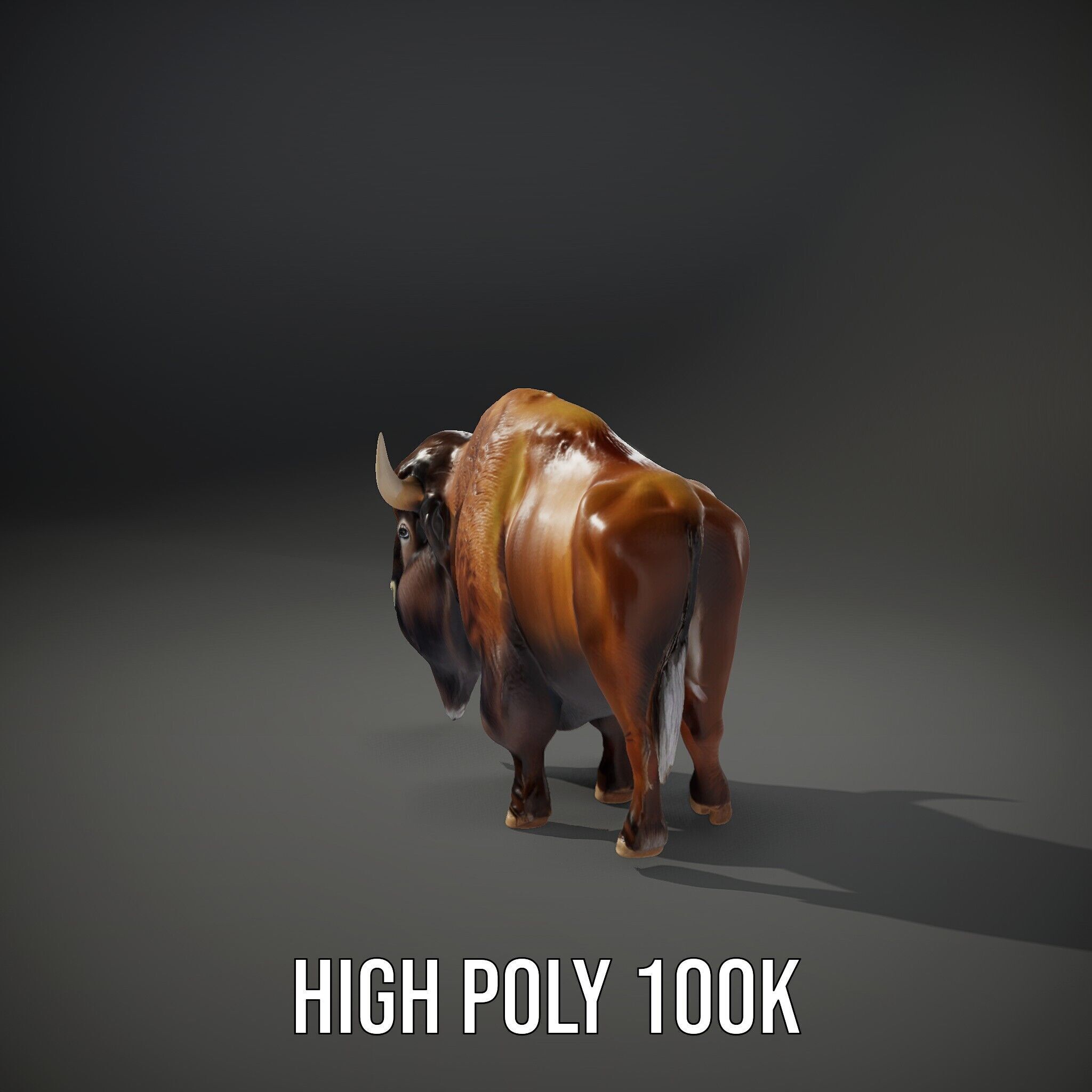 Majestic Bison D Model Pack for Wildlife Simulations Low-poly 3D model_15