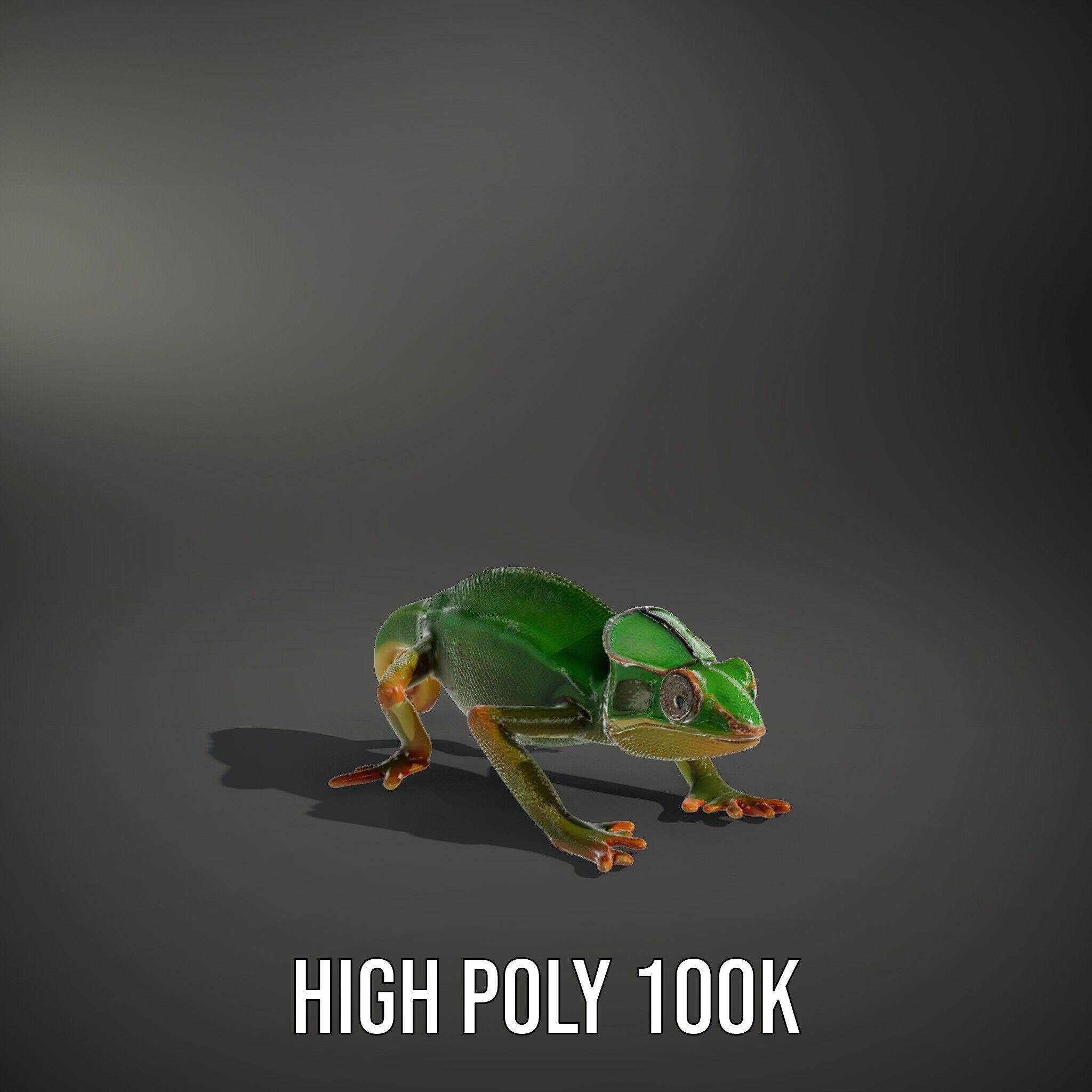 Chameleon Reptile Model Pack for Versatile D Use Low-poly 3D model_15