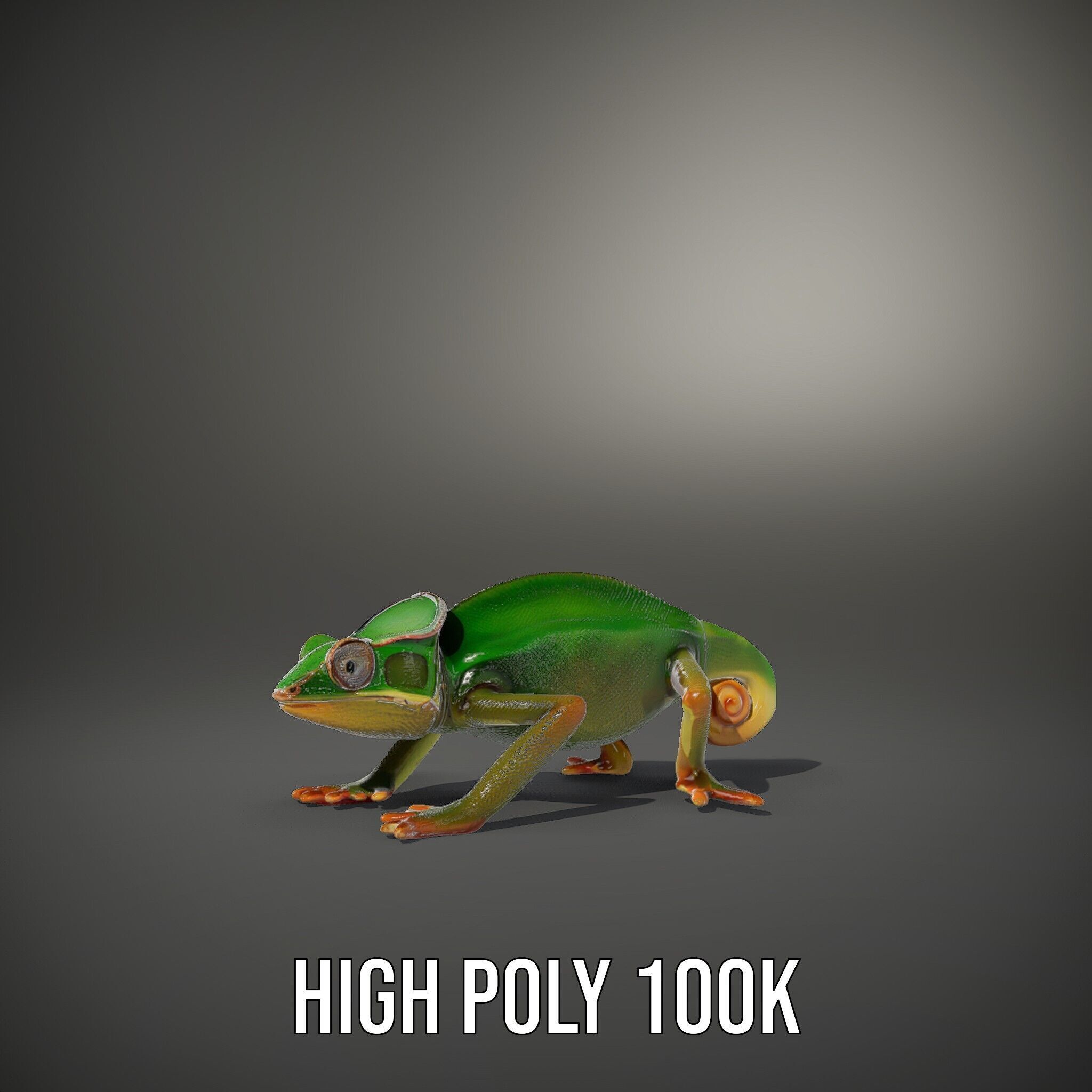 Chameleon Reptile Model Pack for Versatile D Use Low-poly 3D model_12
