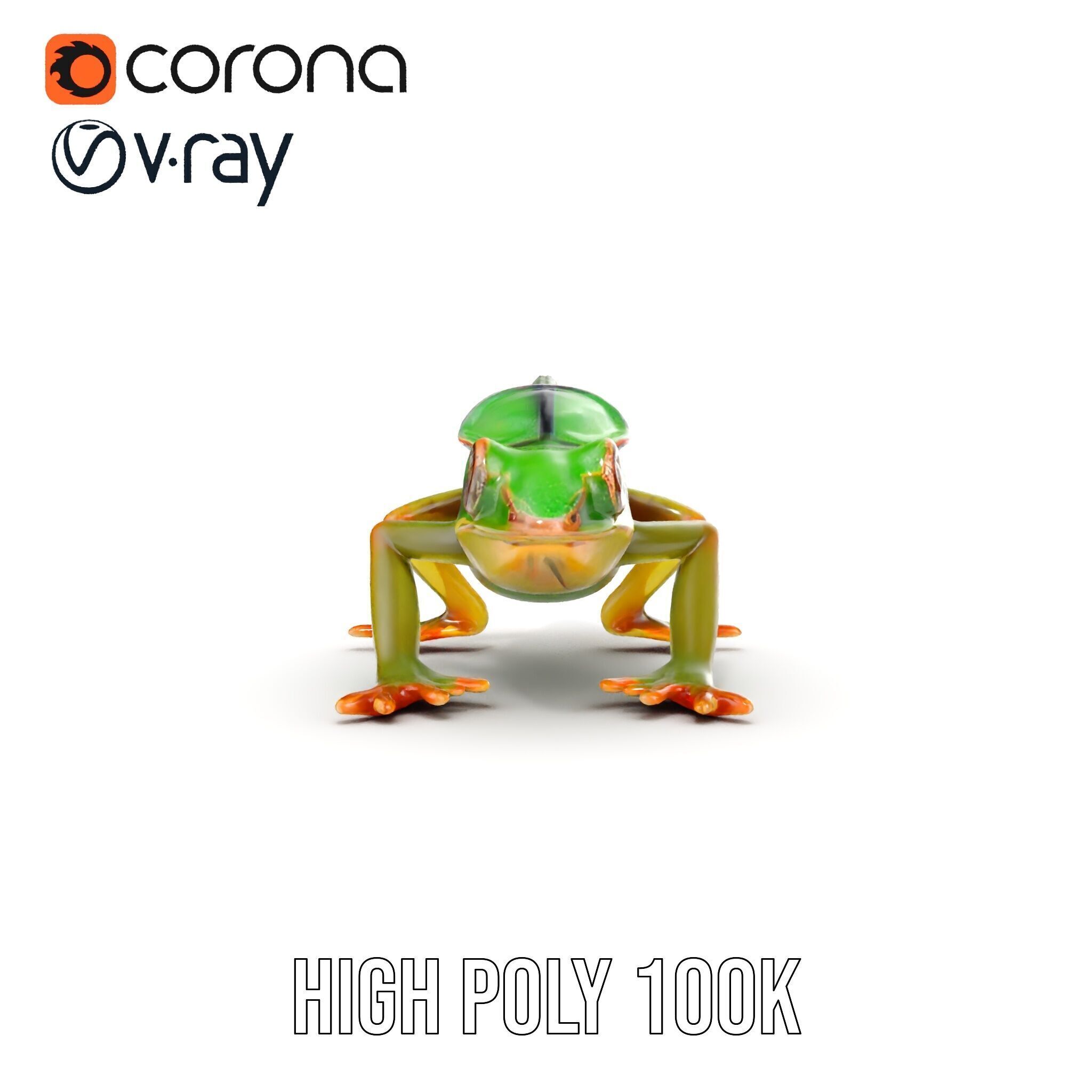 Chameleon Reptile Model Pack for Versatile D Use Low-poly 3D model_13