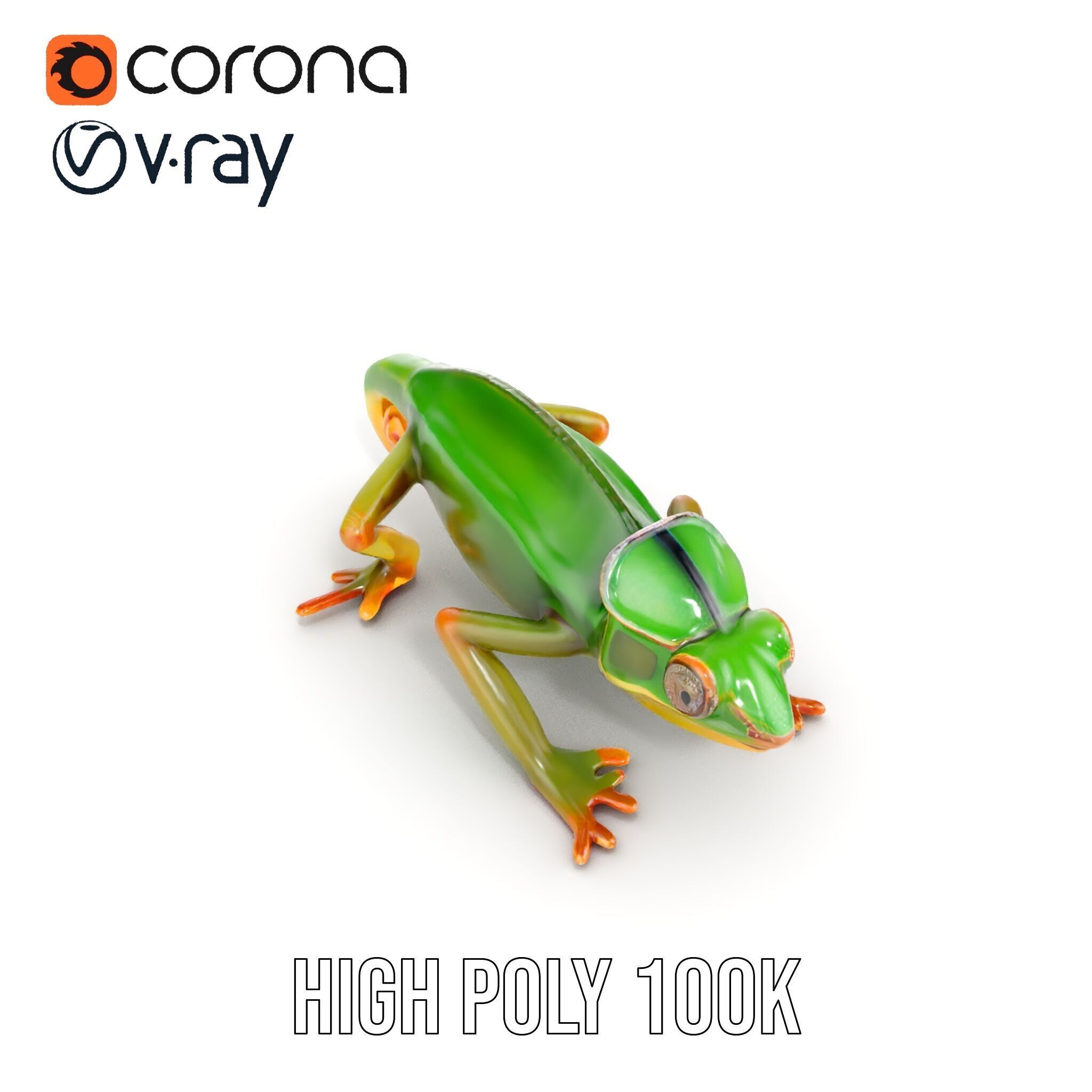 Chameleon Reptile Model Pack for Versatile D Use Low-poly 3D model_17