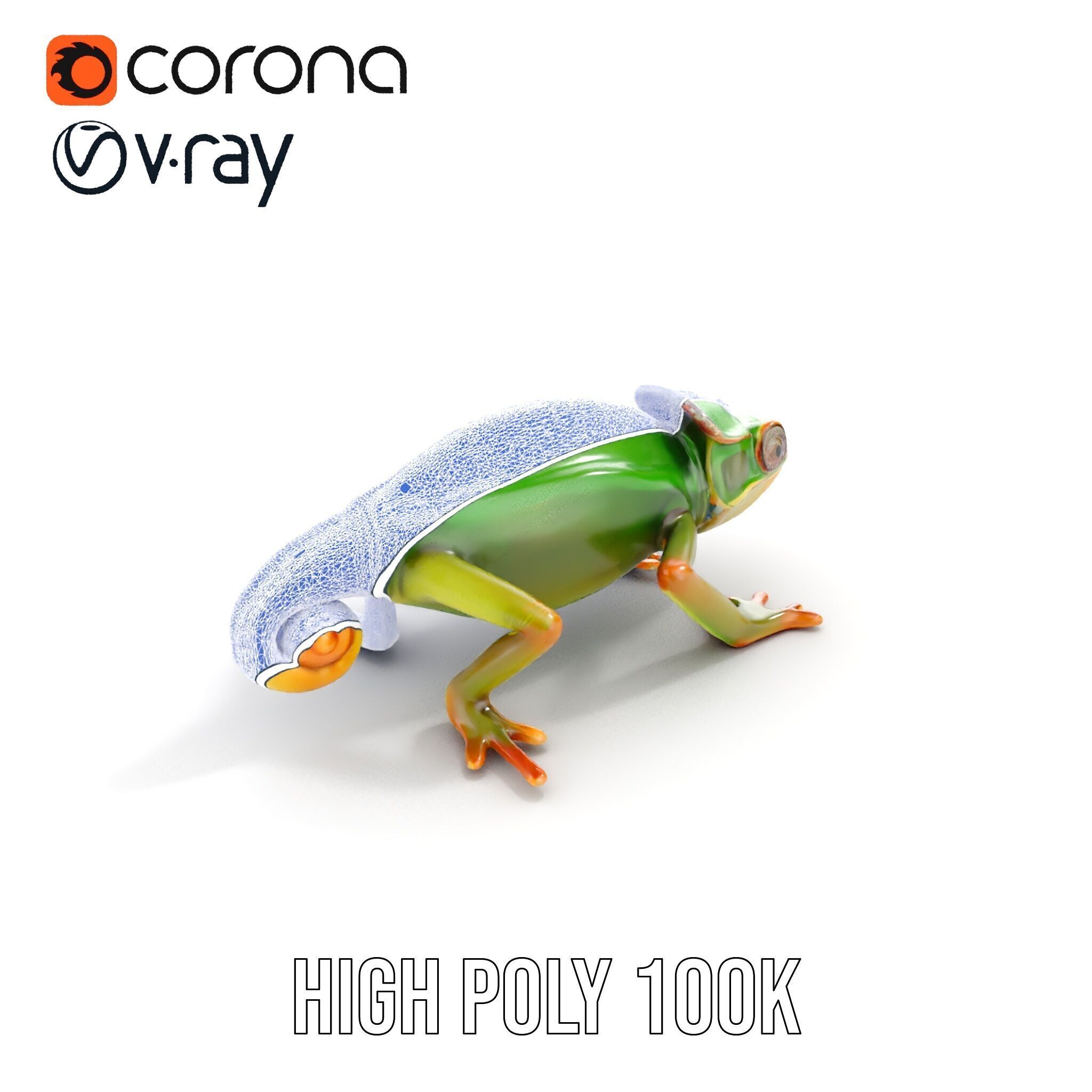 Chameleon Reptile Model Pack for Versatile D Use Low-poly 3D model_32