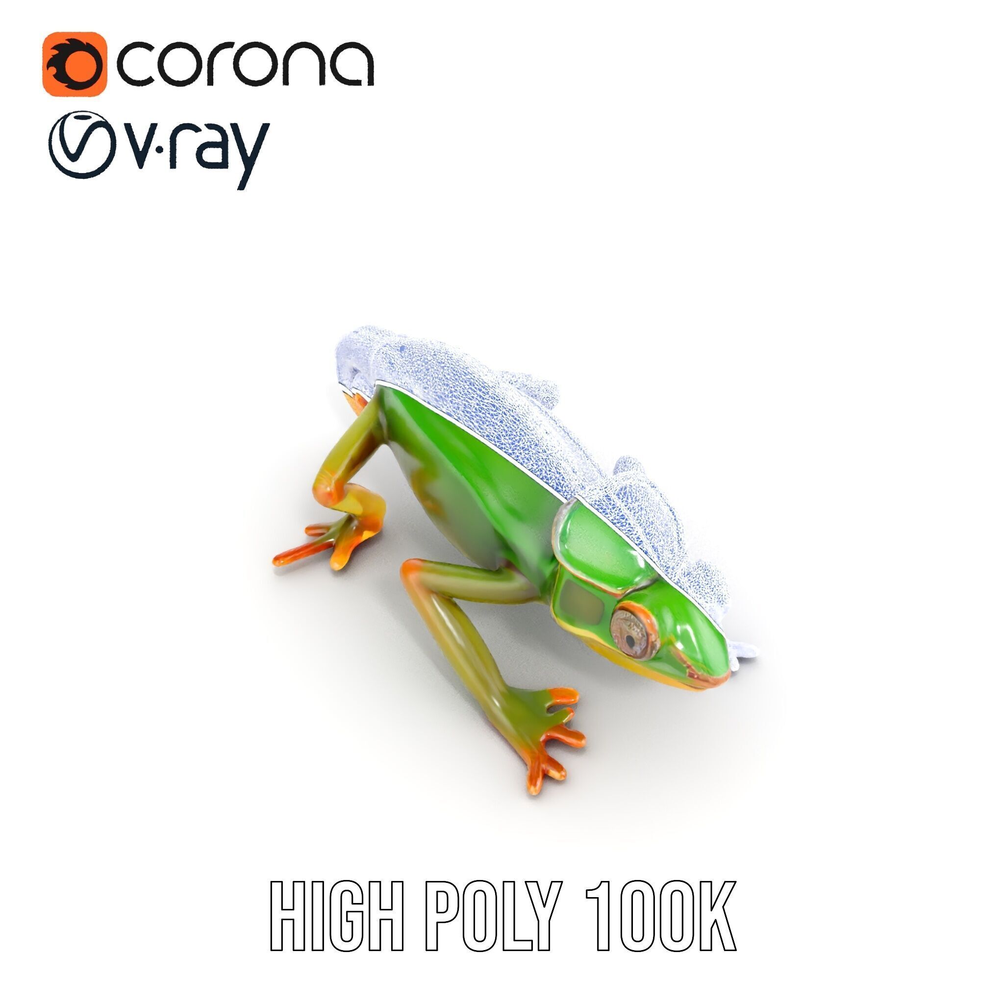 Chameleon Reptile Model Pack for Versatile D Use Low-poly 3D model_31