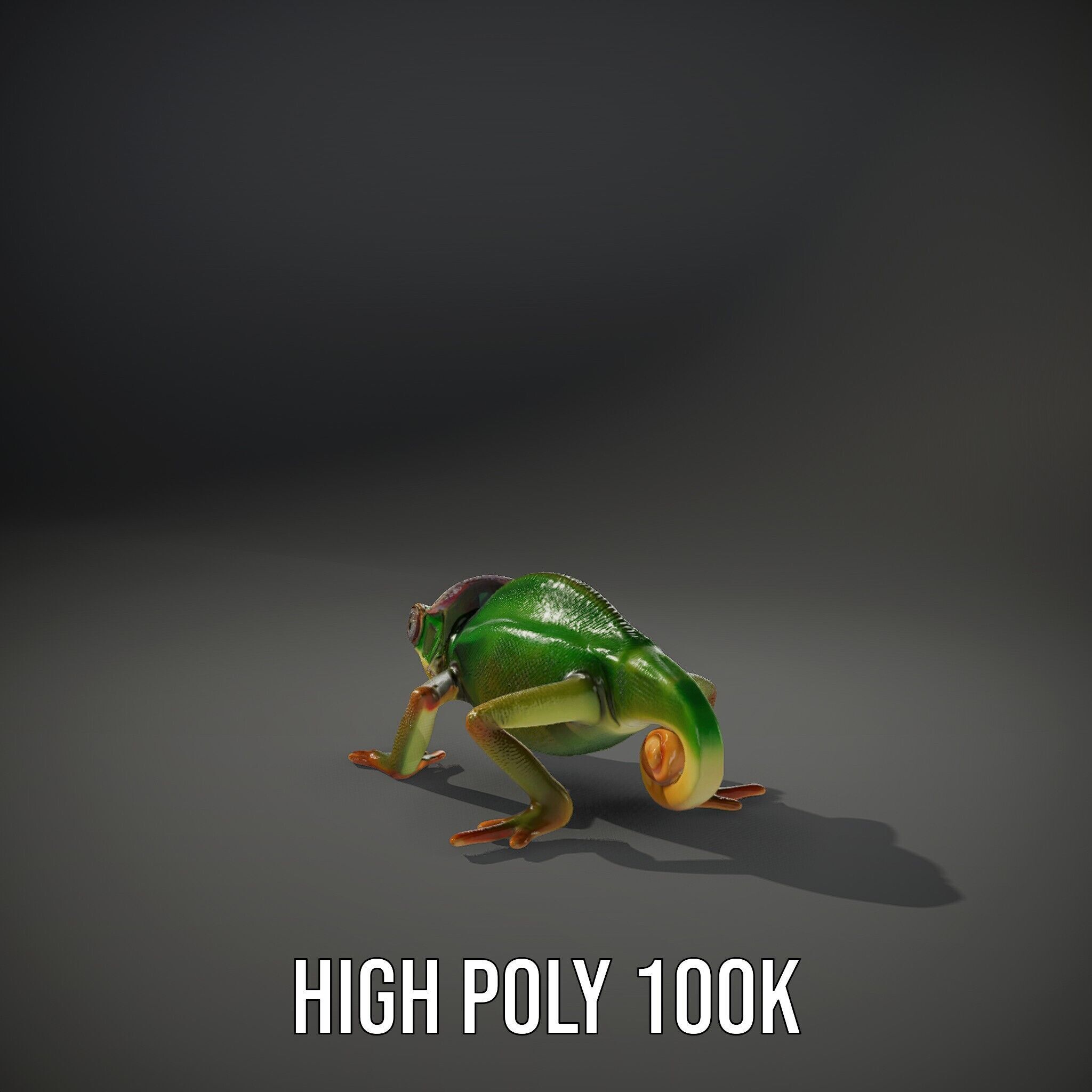 Chameleon Reptile Model Pack for Versatile D Use Low-poly 3D model_9