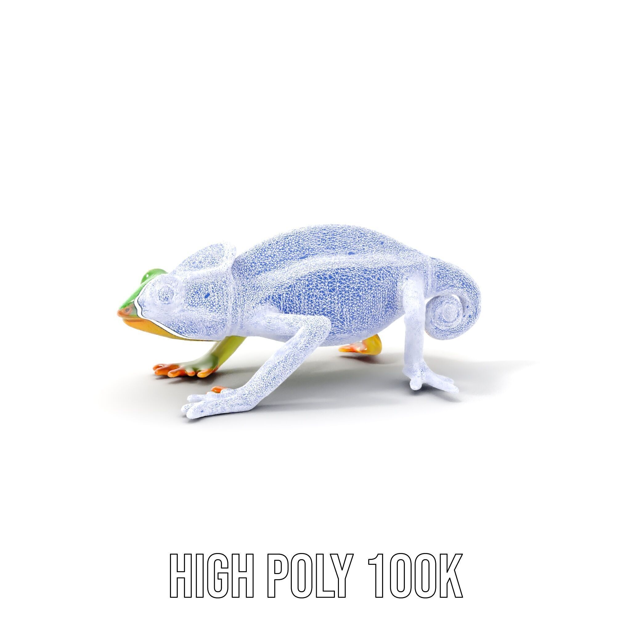 Chameleon Reptile Model Pack for Versatile D Use Low-poly 3D model_19