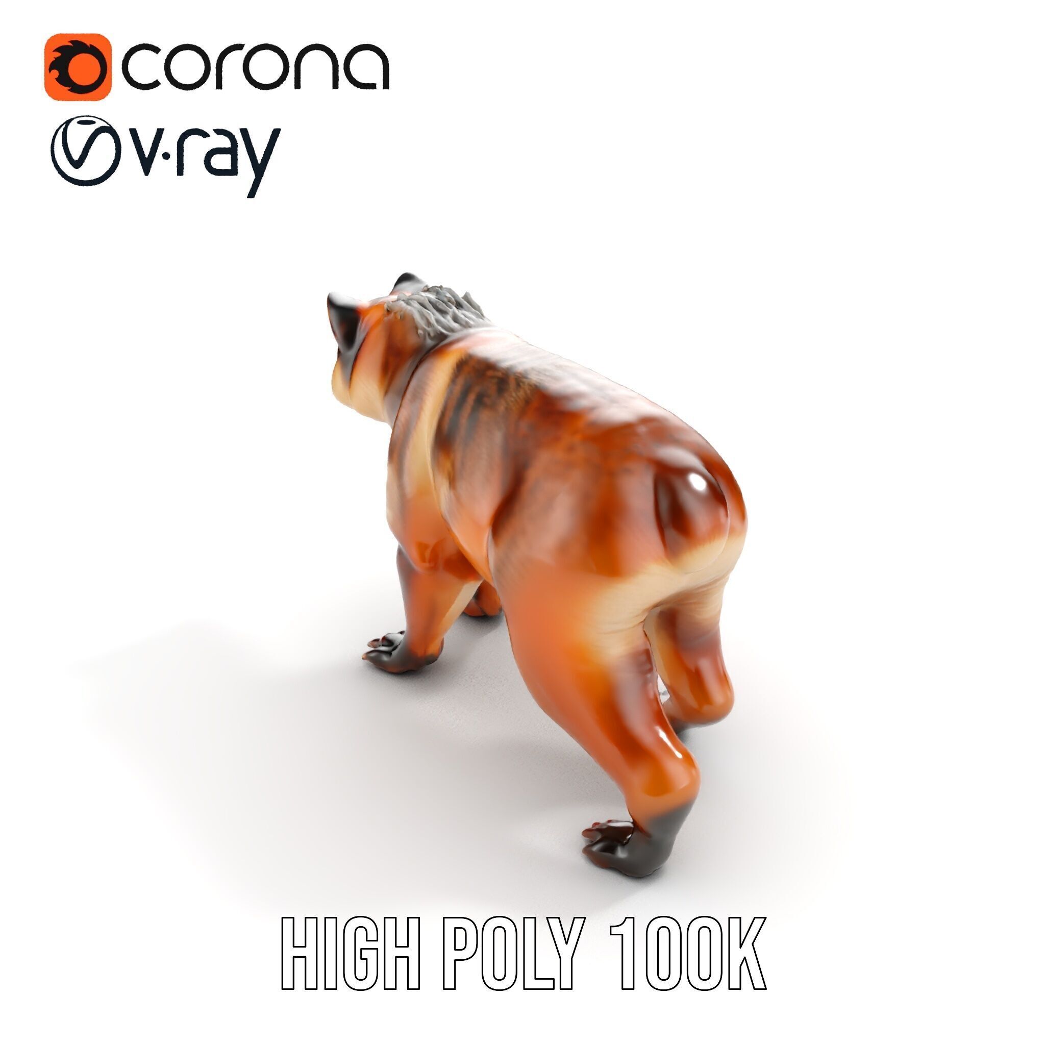 Realistic Canine Model Pack Low-poly 3D model_25