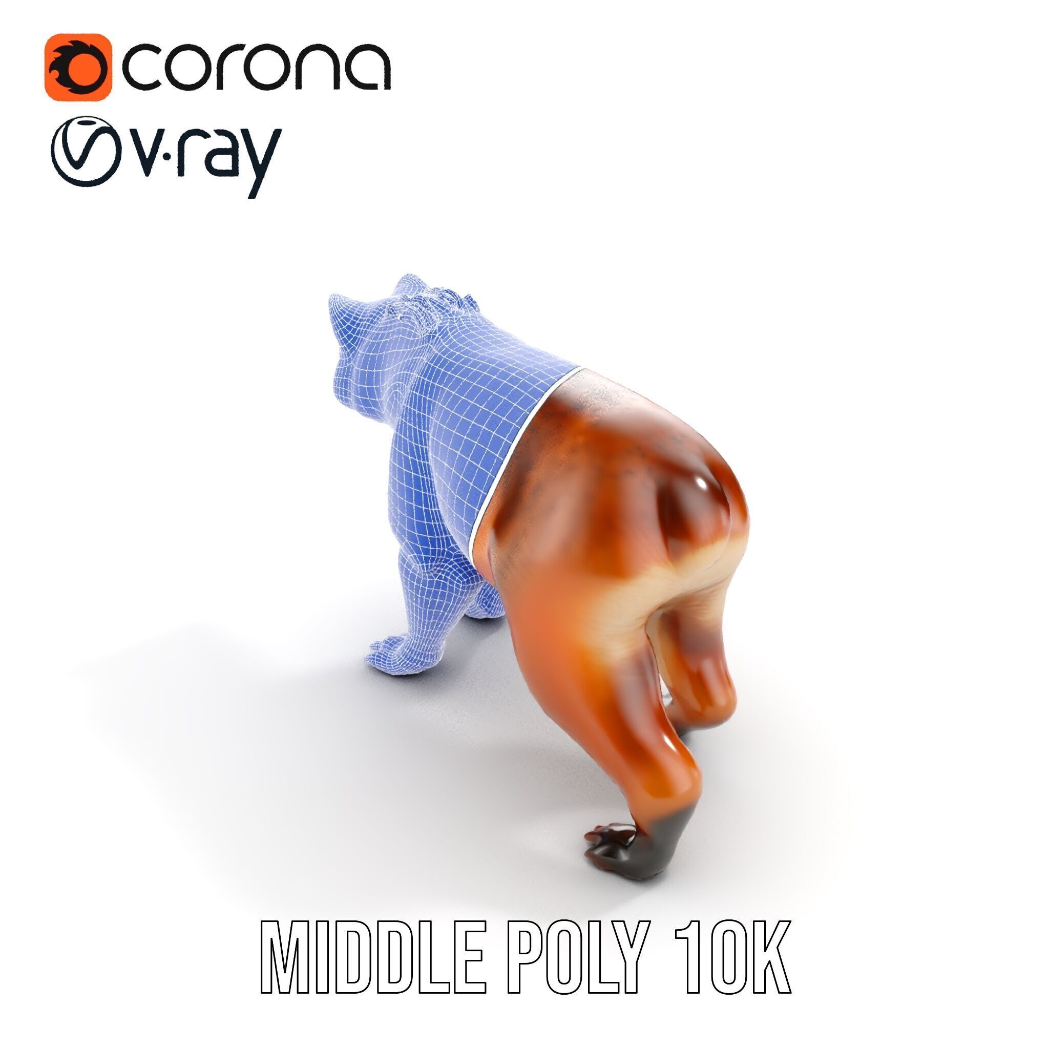 Realistic Canine Model Pack Low-poly 3D model_20