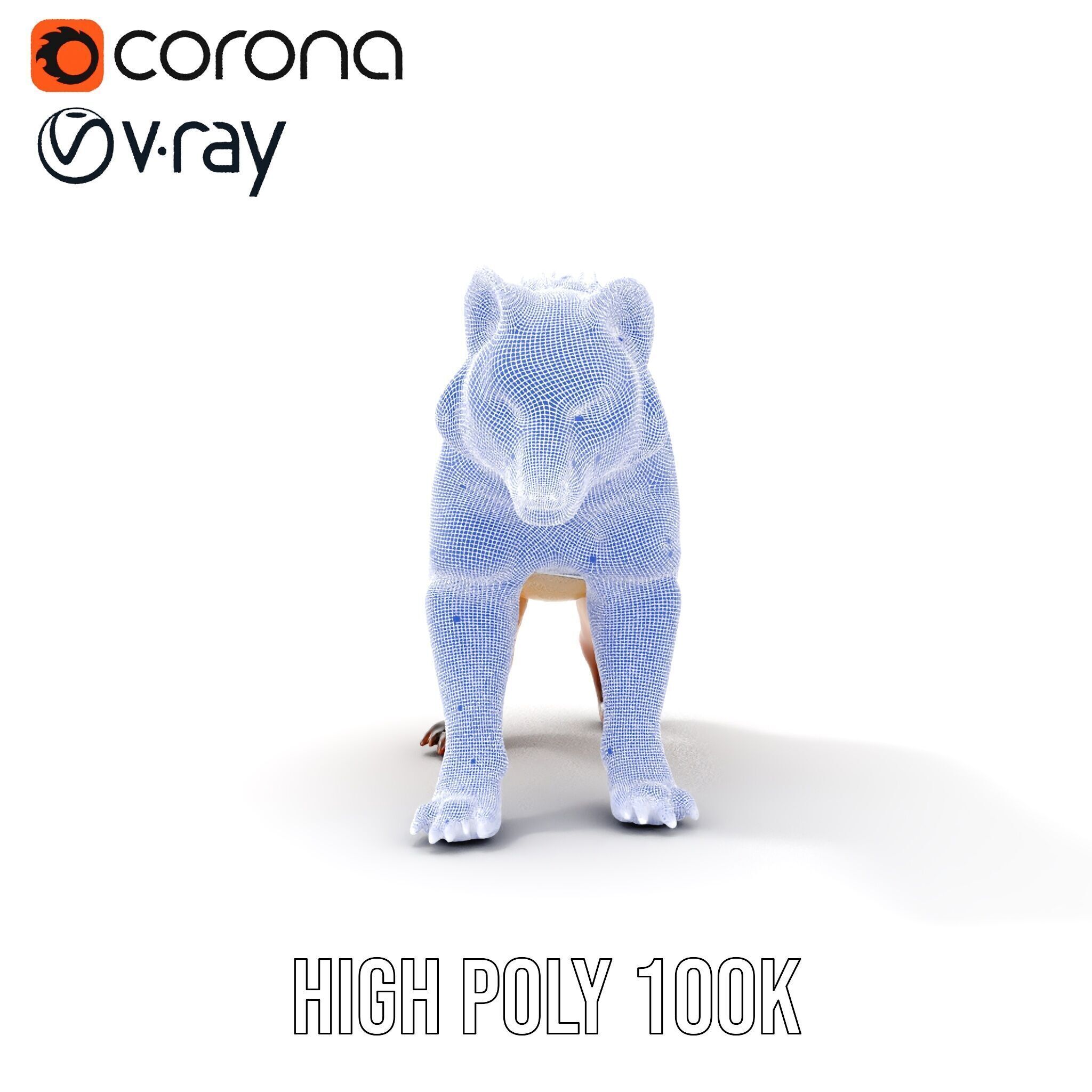 Realistic Canine Model Pack Low-poly 3D model_39