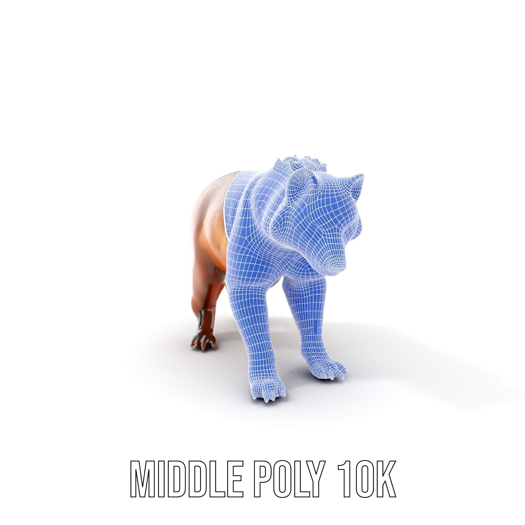 Realistic Canine Model Pack Low-poly 3D model_26