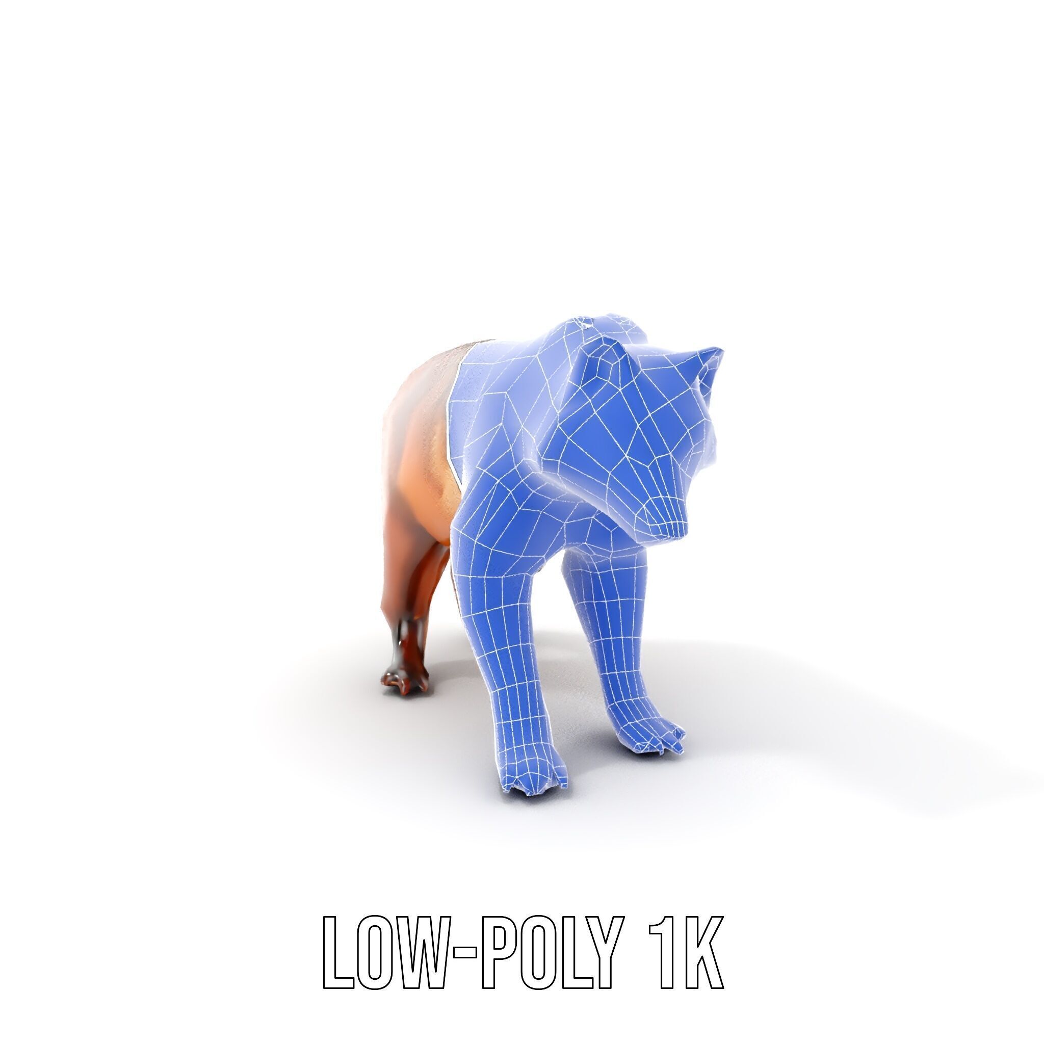 Realistic Canine Model Pack Low-poly 3D model_19