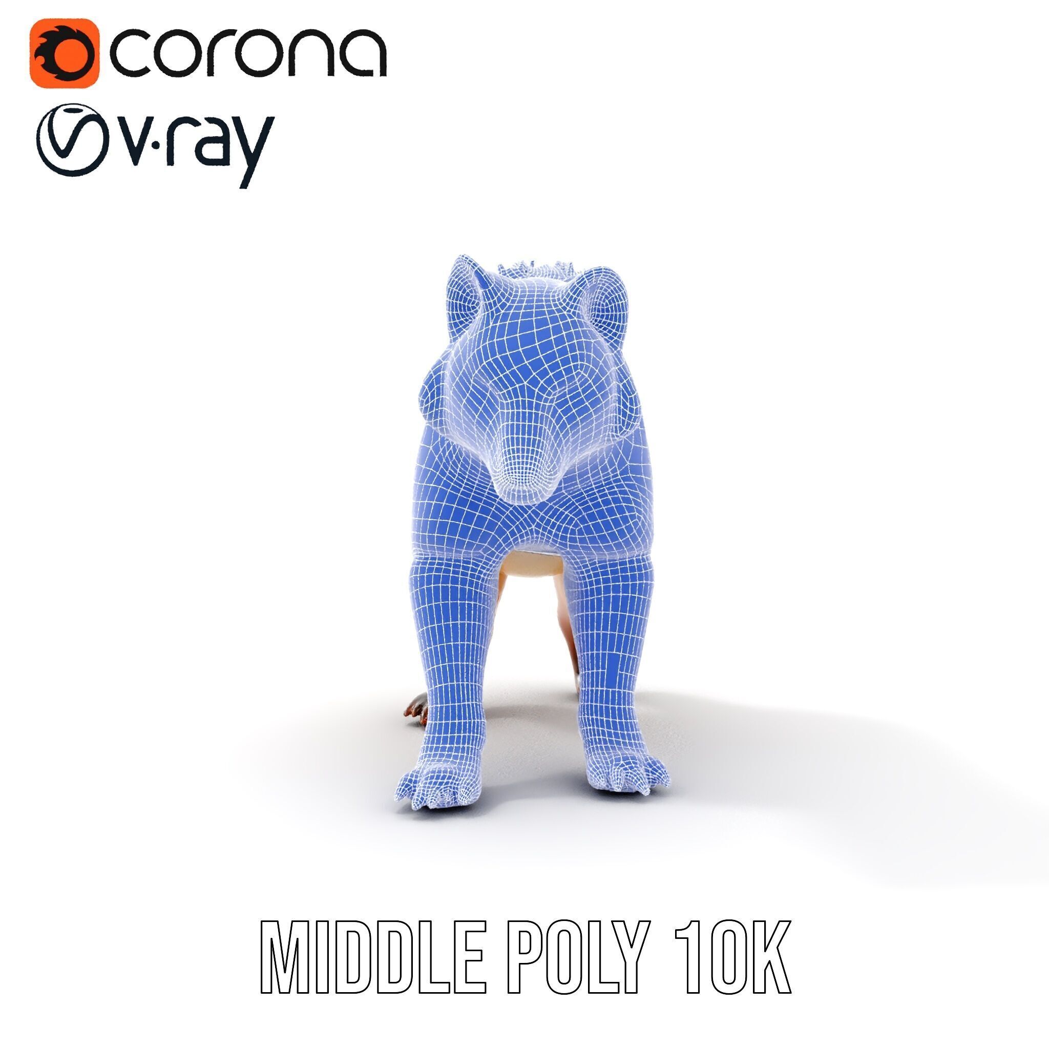 Realistic Canine Model Pack Low-poly 3D model_32