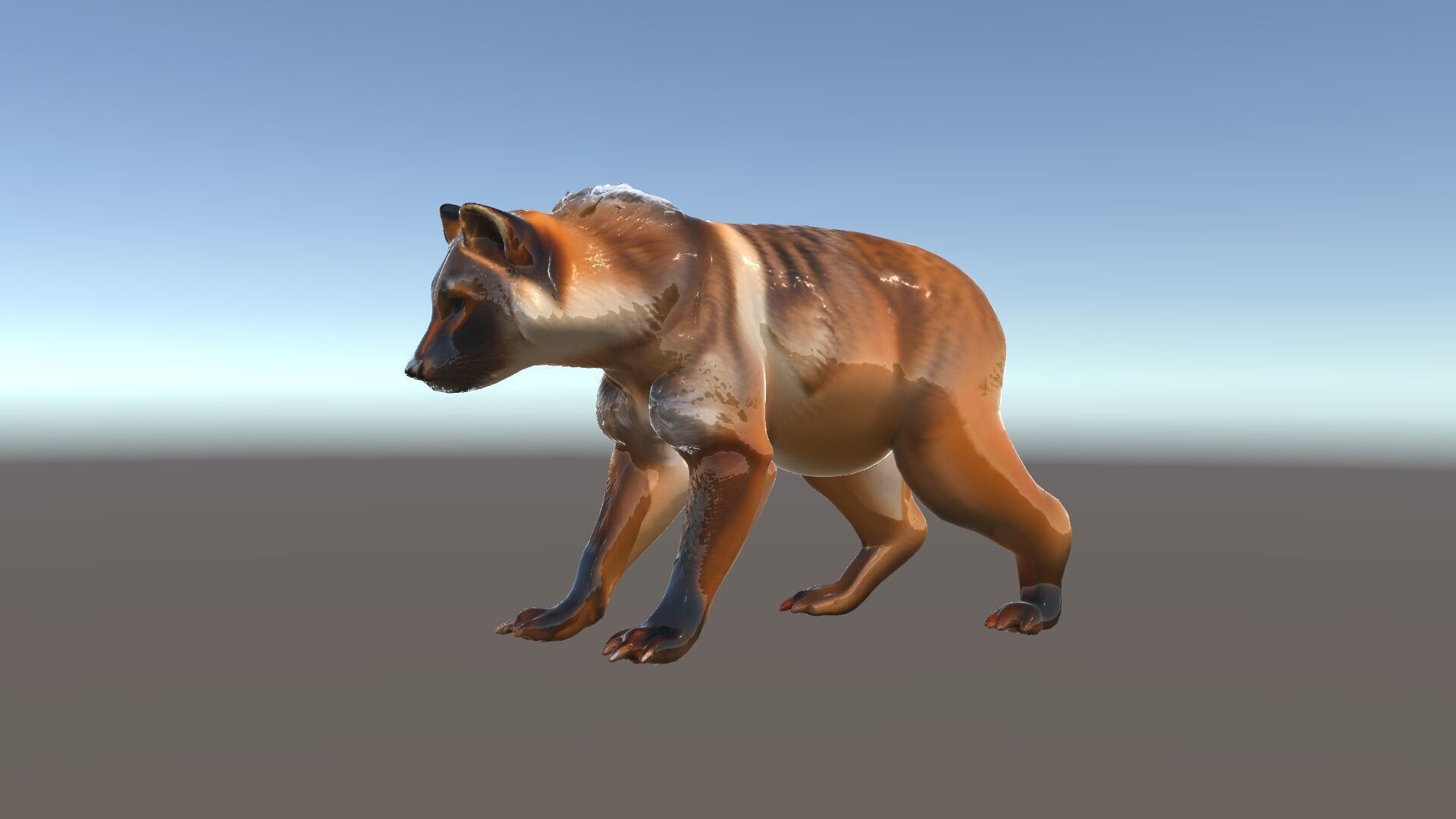 Realistic Canine Model Pack Low-poly 3D model_35