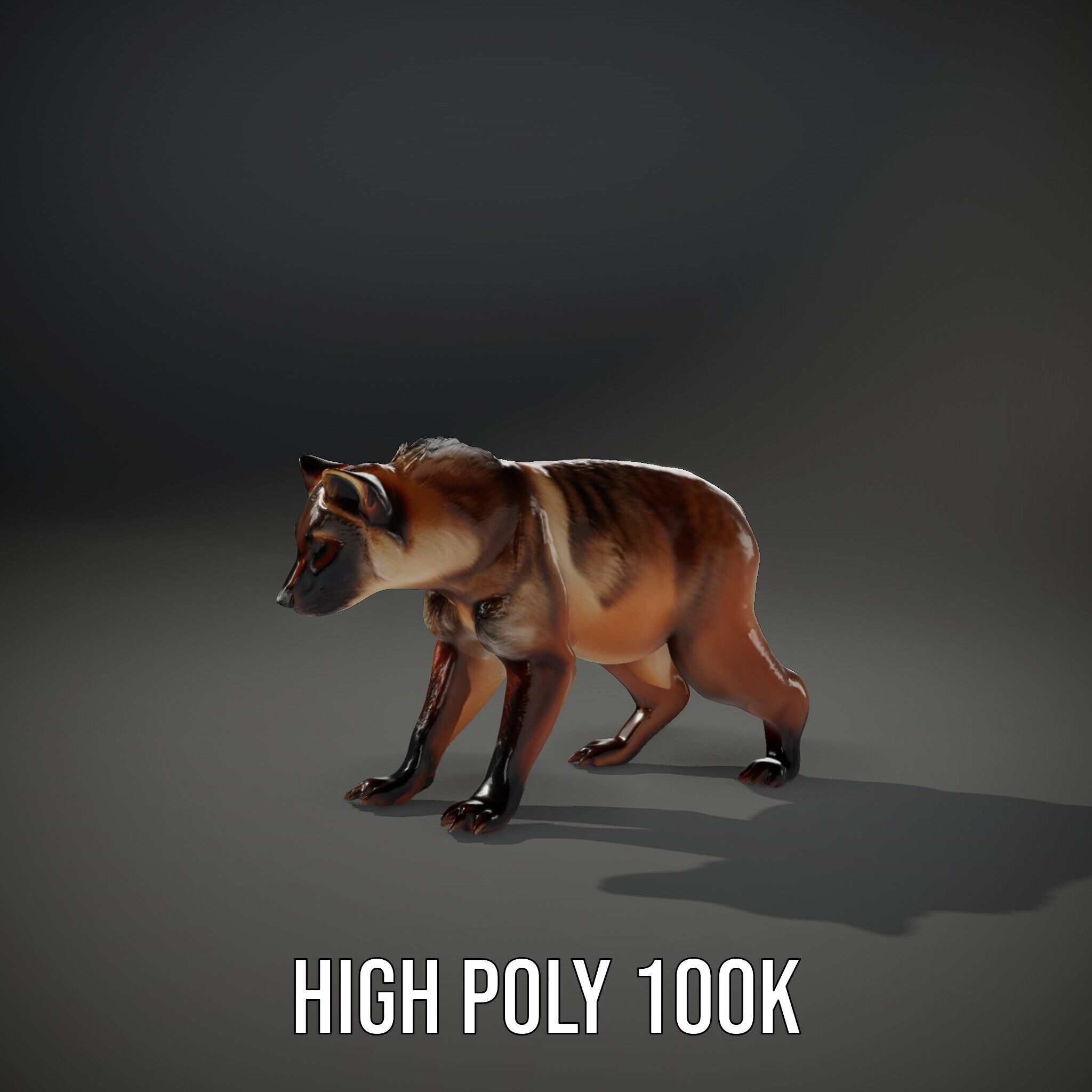Realistic Canine Model Pack Low-poly 3D model_9