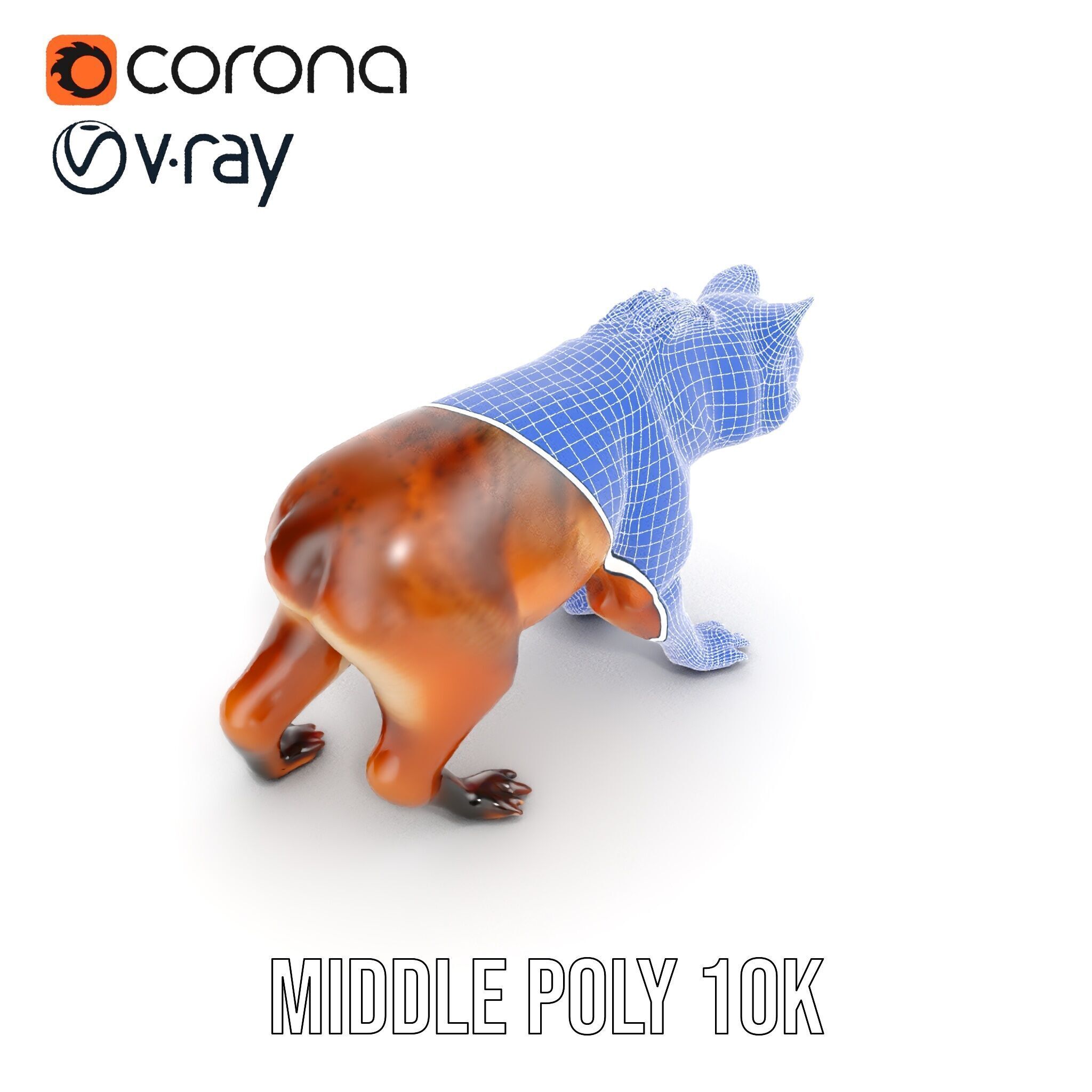 Realistic Canine Model Pack Low-poly 3D model_13