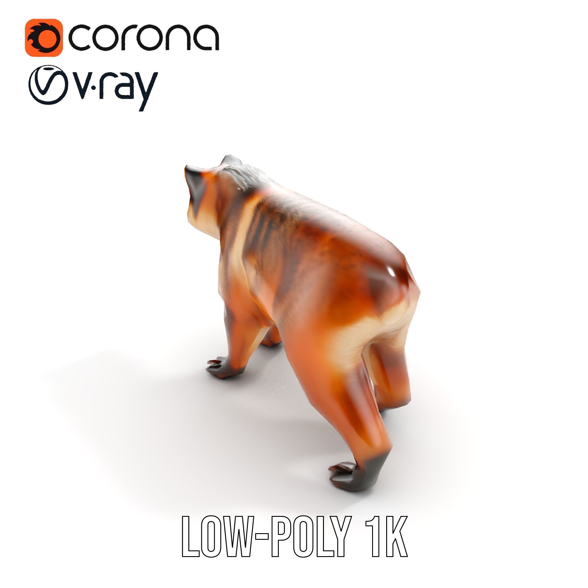 Realistic Canine Model Pack Low-poly 3D model_11