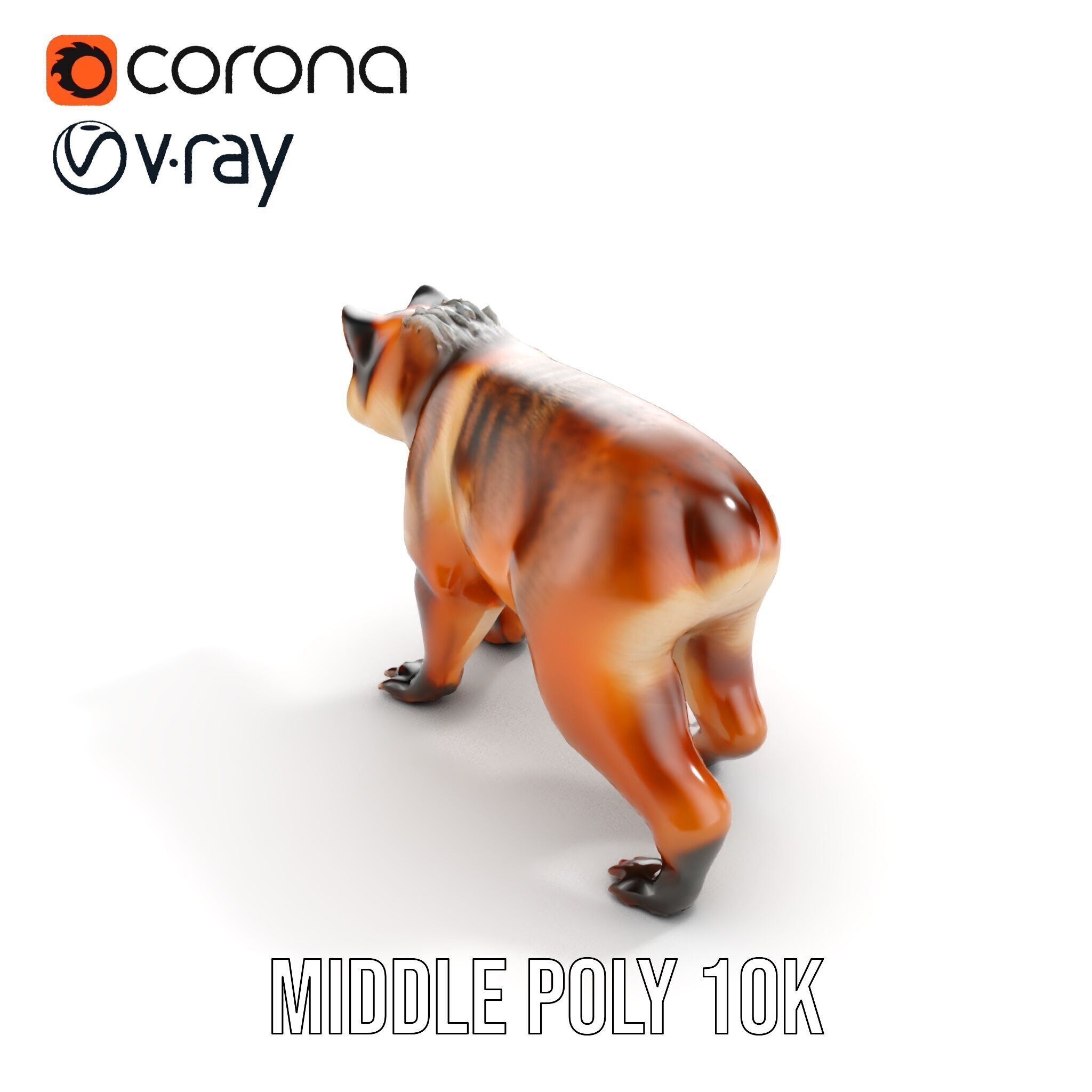 Realistic Canine Model Pack Low-poly 3D model_18