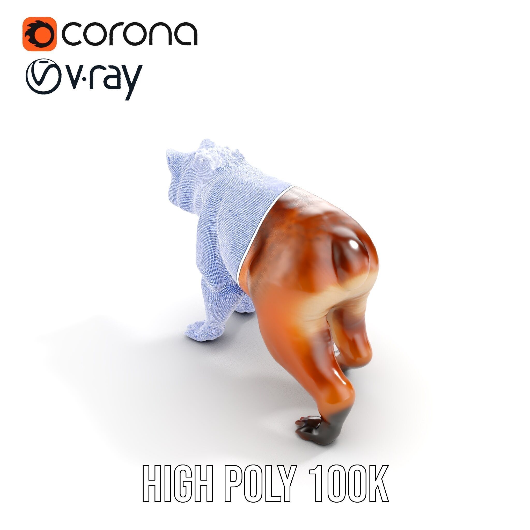 Realistic Canine Model Pack Low-poly 3D model_38