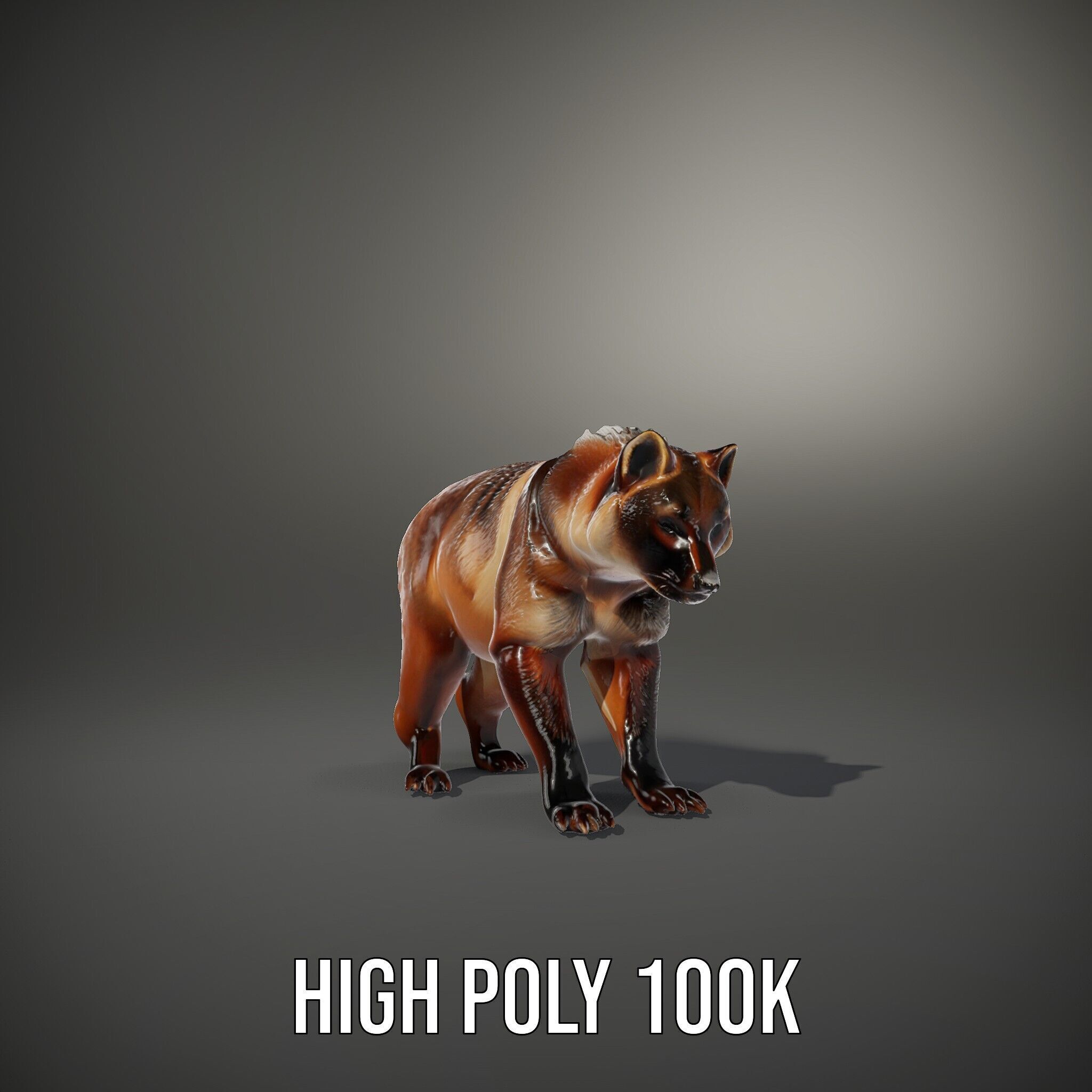 Realistic Canine Model Pack Low-poly 3D model_15