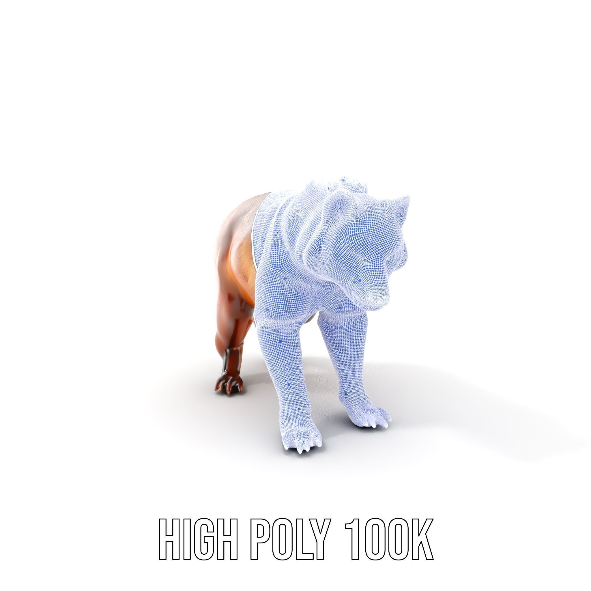 Realistic Canine Model Pack Low-poly 3D model_5