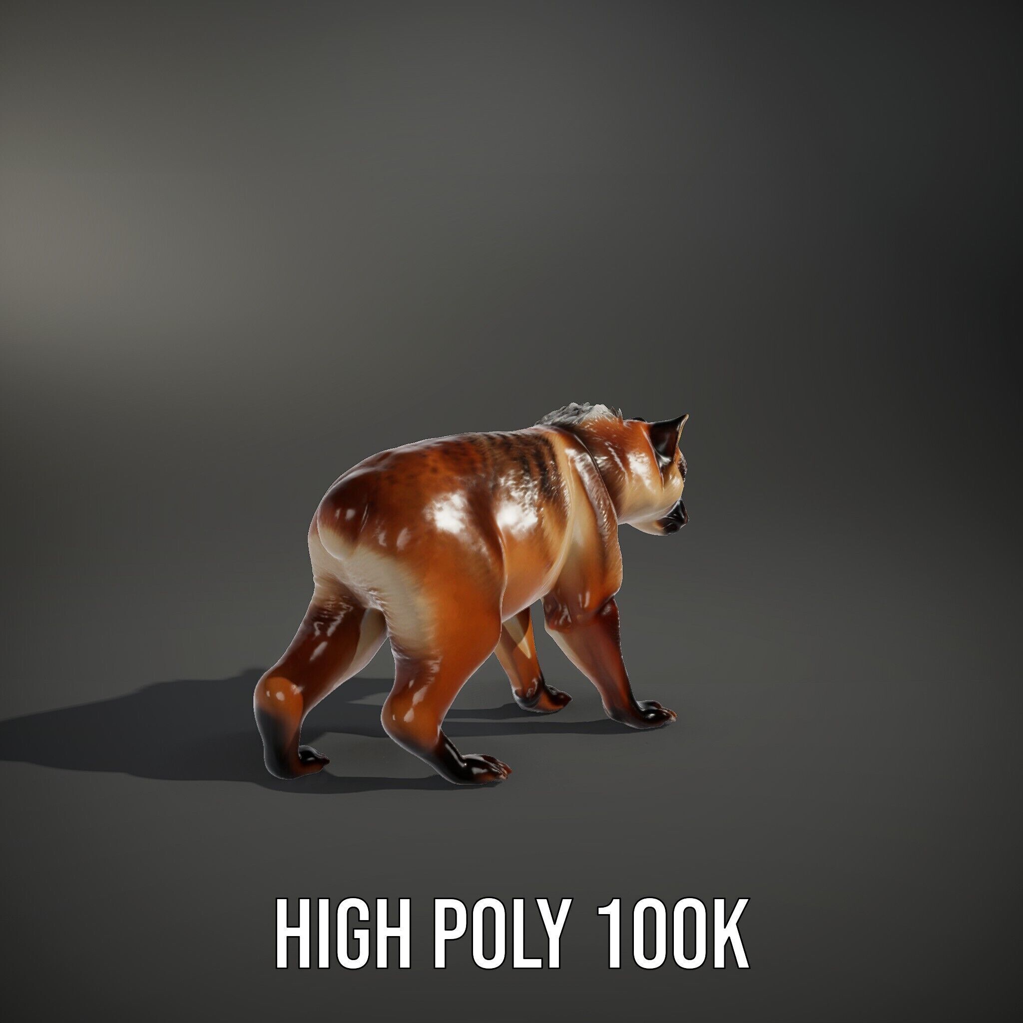 Realistic Canine Model Pack Low-poly 3D model_12