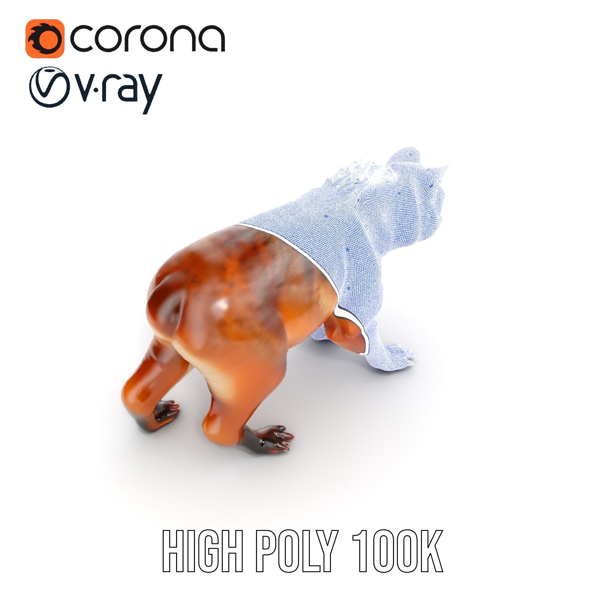 Realistic Canine Model Pack Low-poly 3D model_37