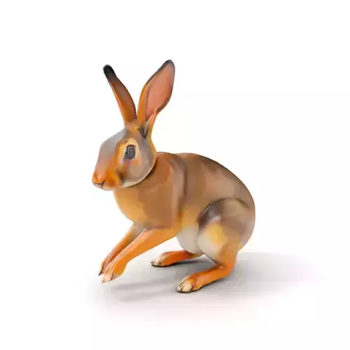 Realistic Rabbit D Model Pack Low-poly 3D model