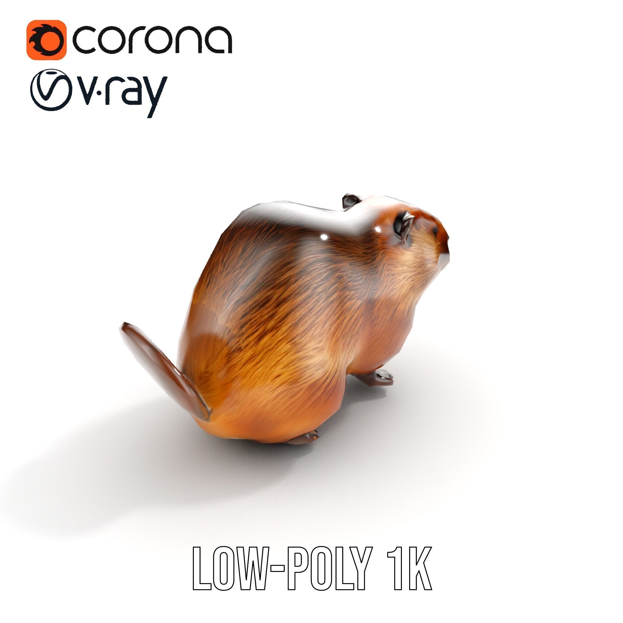 Beaver Model Pack with Detailed Fur Texture Low-poly 3D model_16